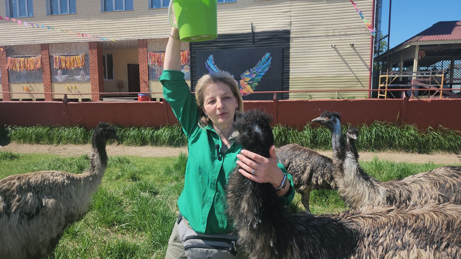 серпухов, подмосковье, страусы, эму, русский страус,