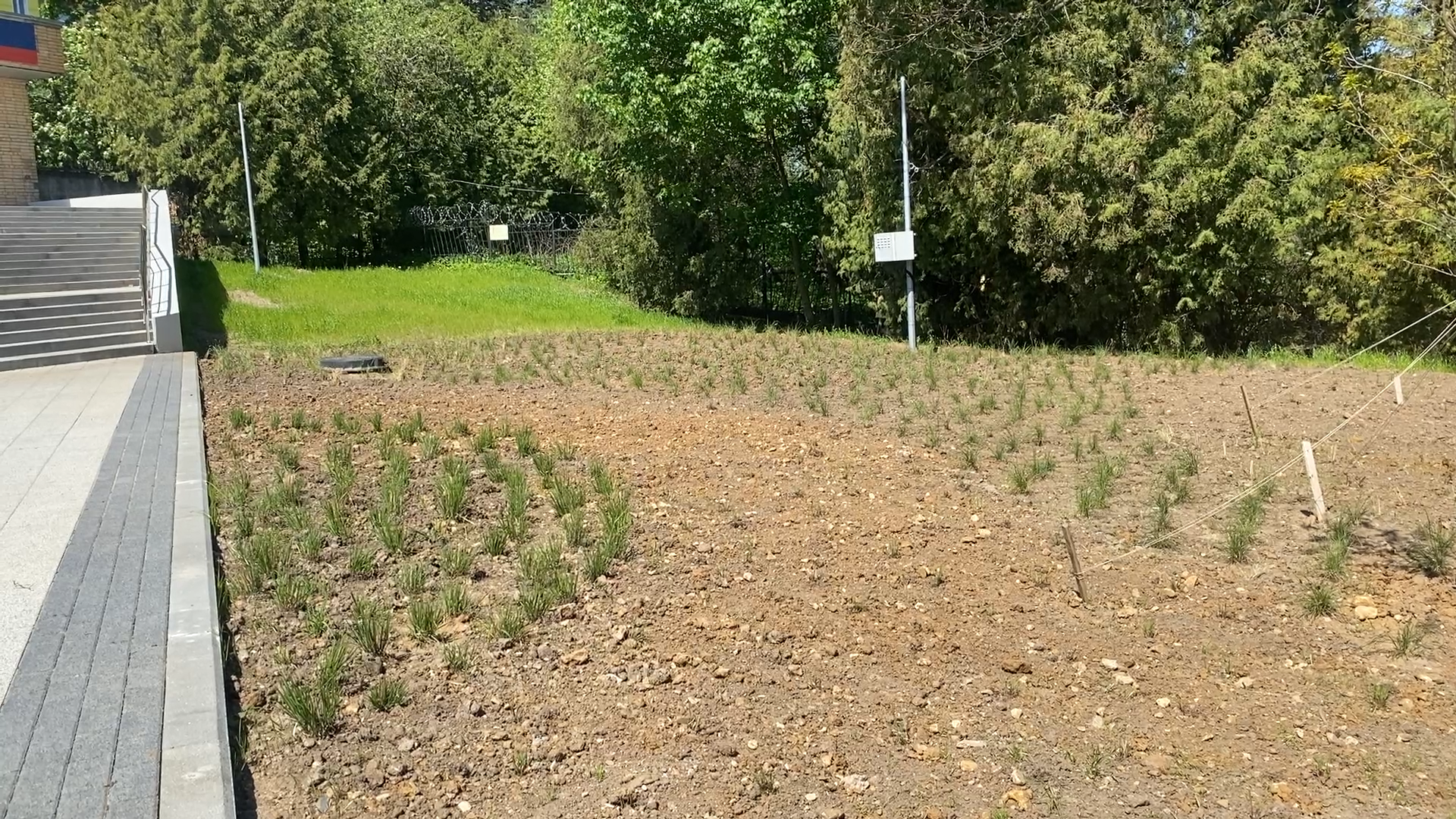 благоустройство, власиха кпп солнечная, власиха кпп-2, территория власихи, ракетная столица власиха,