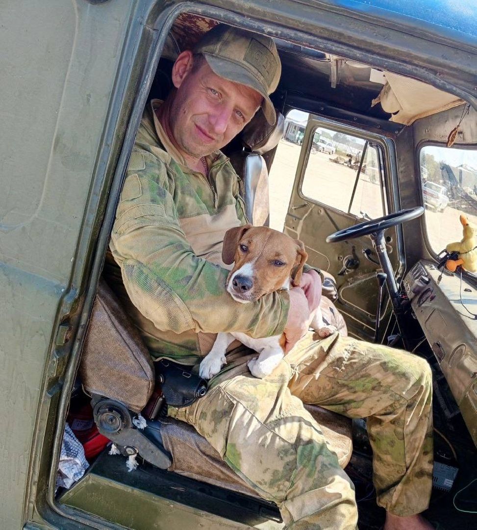 раменское, сво, гуманитарная помощь сво, помощь животным, зоозащитники, волонтеры, благотворительность,