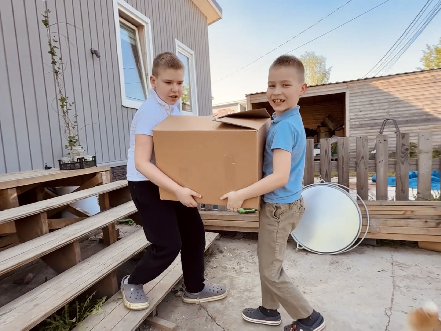 раменское, сво, гуманитарная помощь сво, помощь животным, зоозащитники, волонтеры, благотворительность,