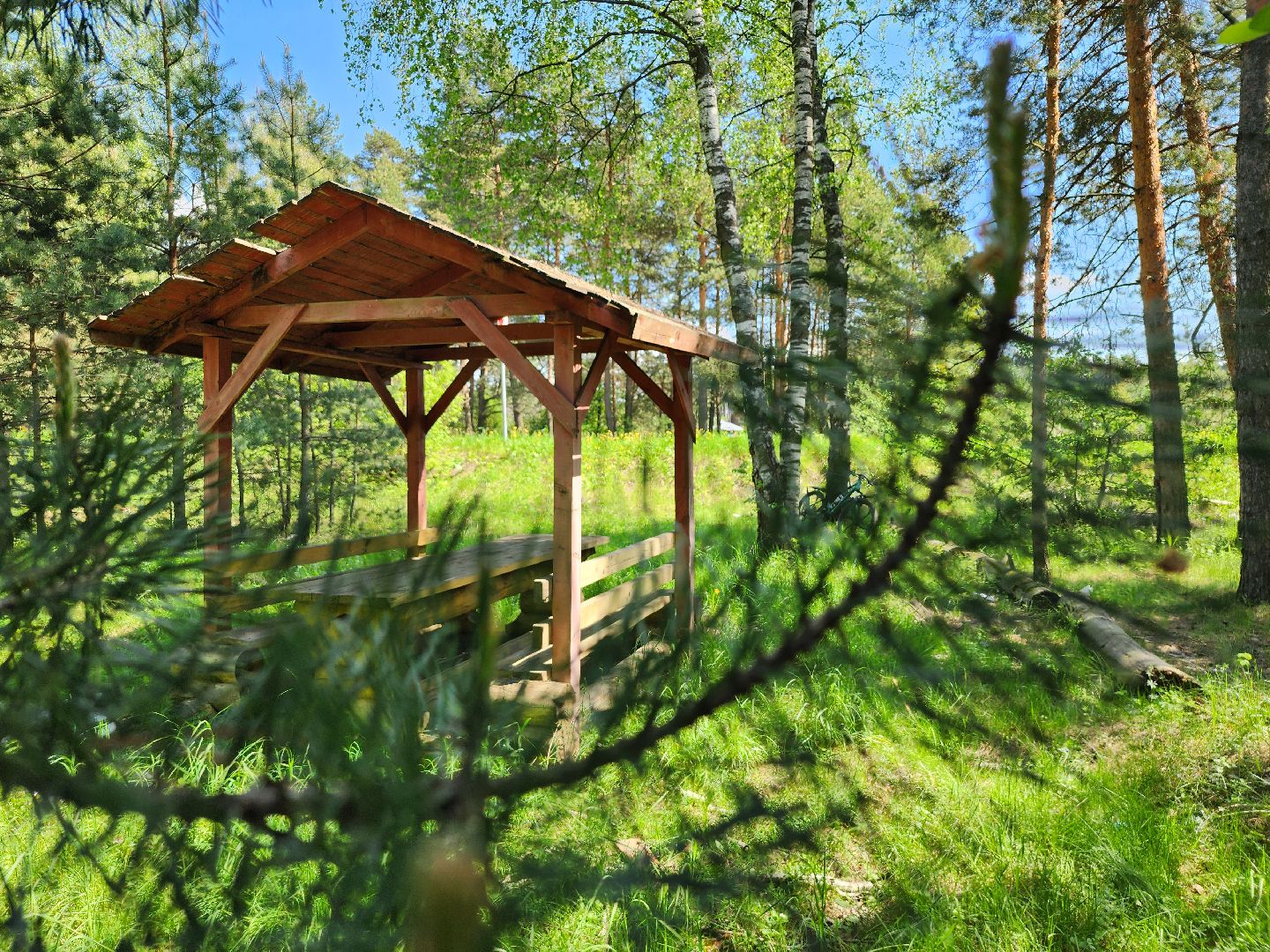 комитет лесного хозяйства, пожароопасный сезон, зона отдыха,