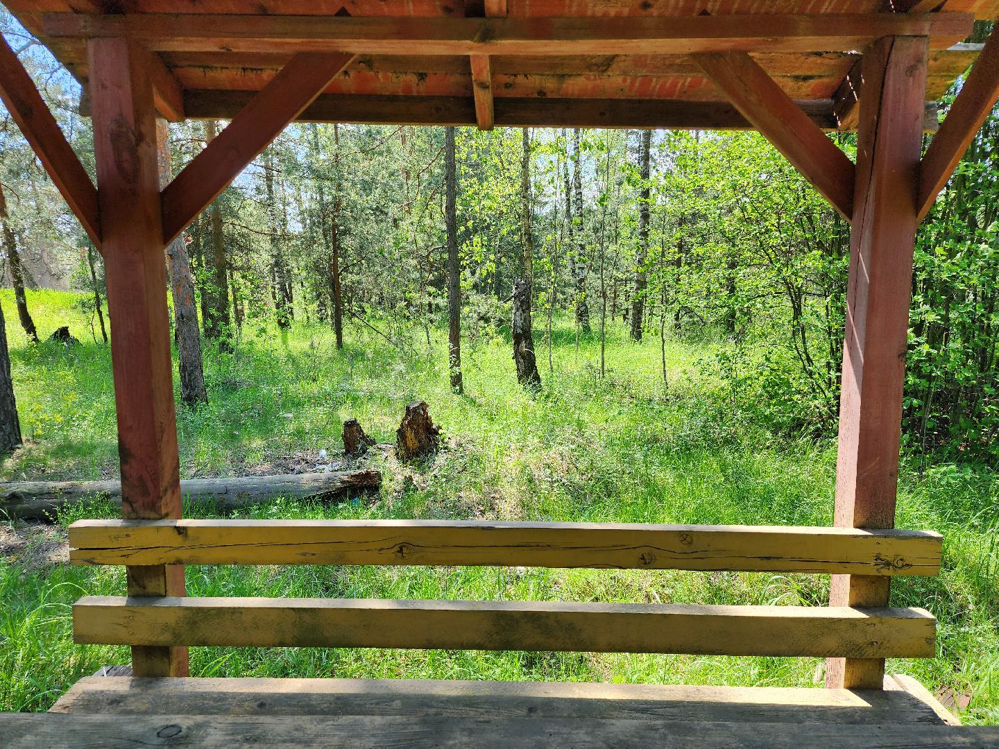 комитет лесного хозяйства, пожароопасный сезон, зона отдыха,