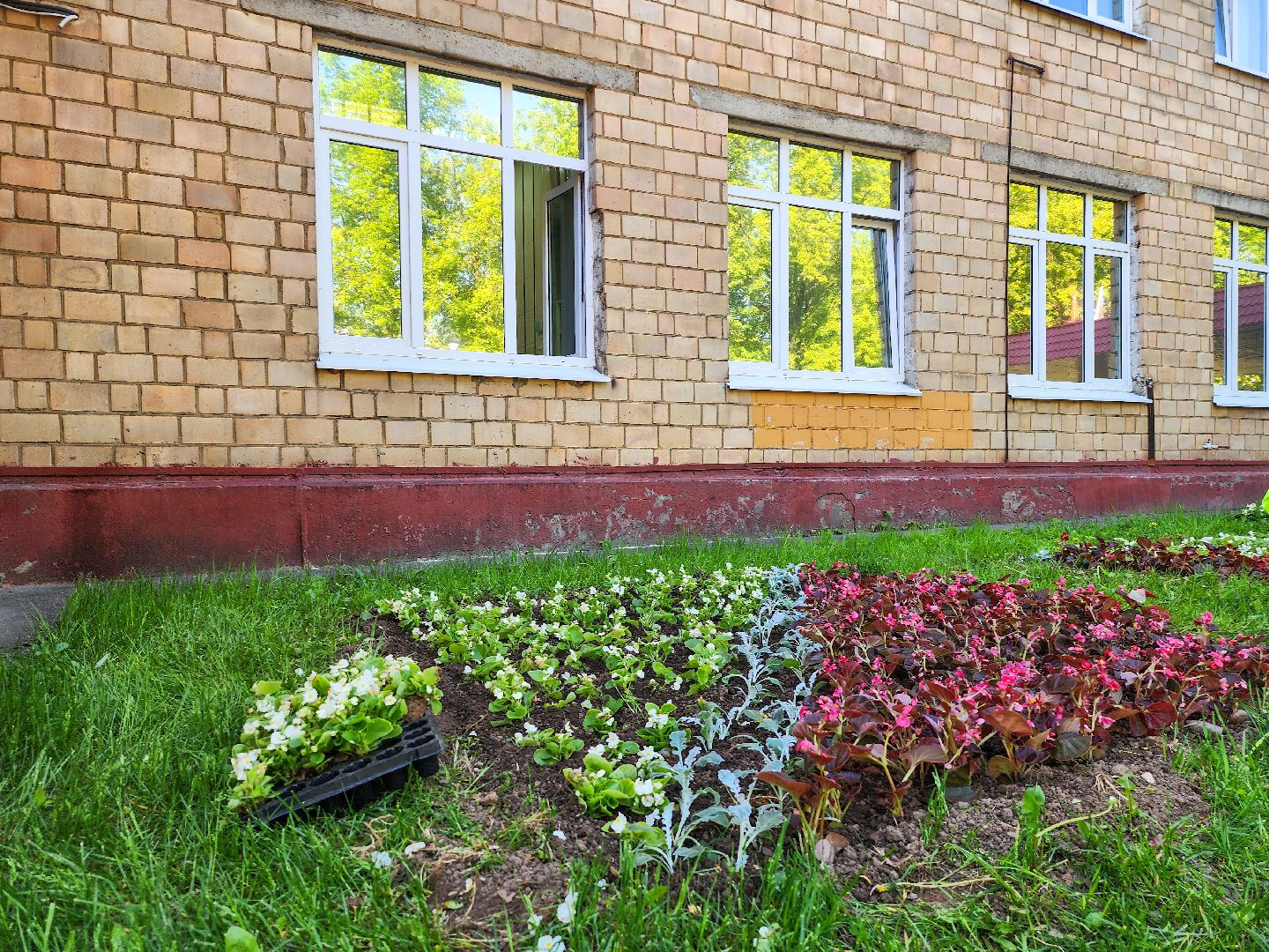 Подольск, благоустройство, цветы, клумбы,