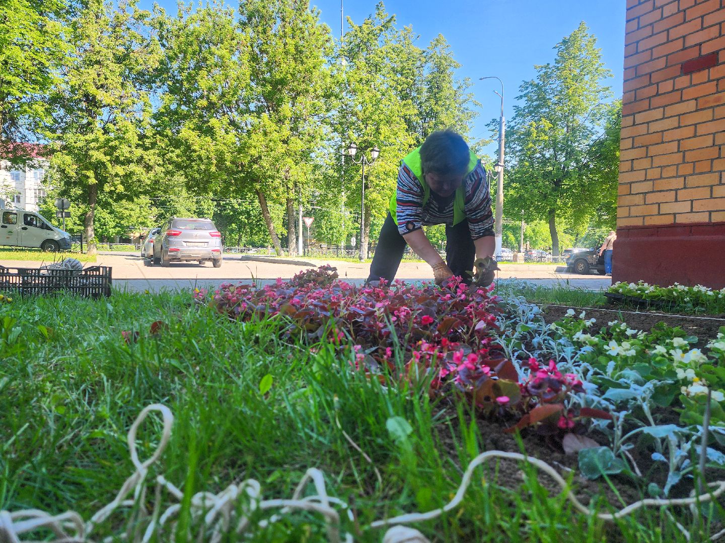 Подольск, благоустройство, цветы, клумбы,