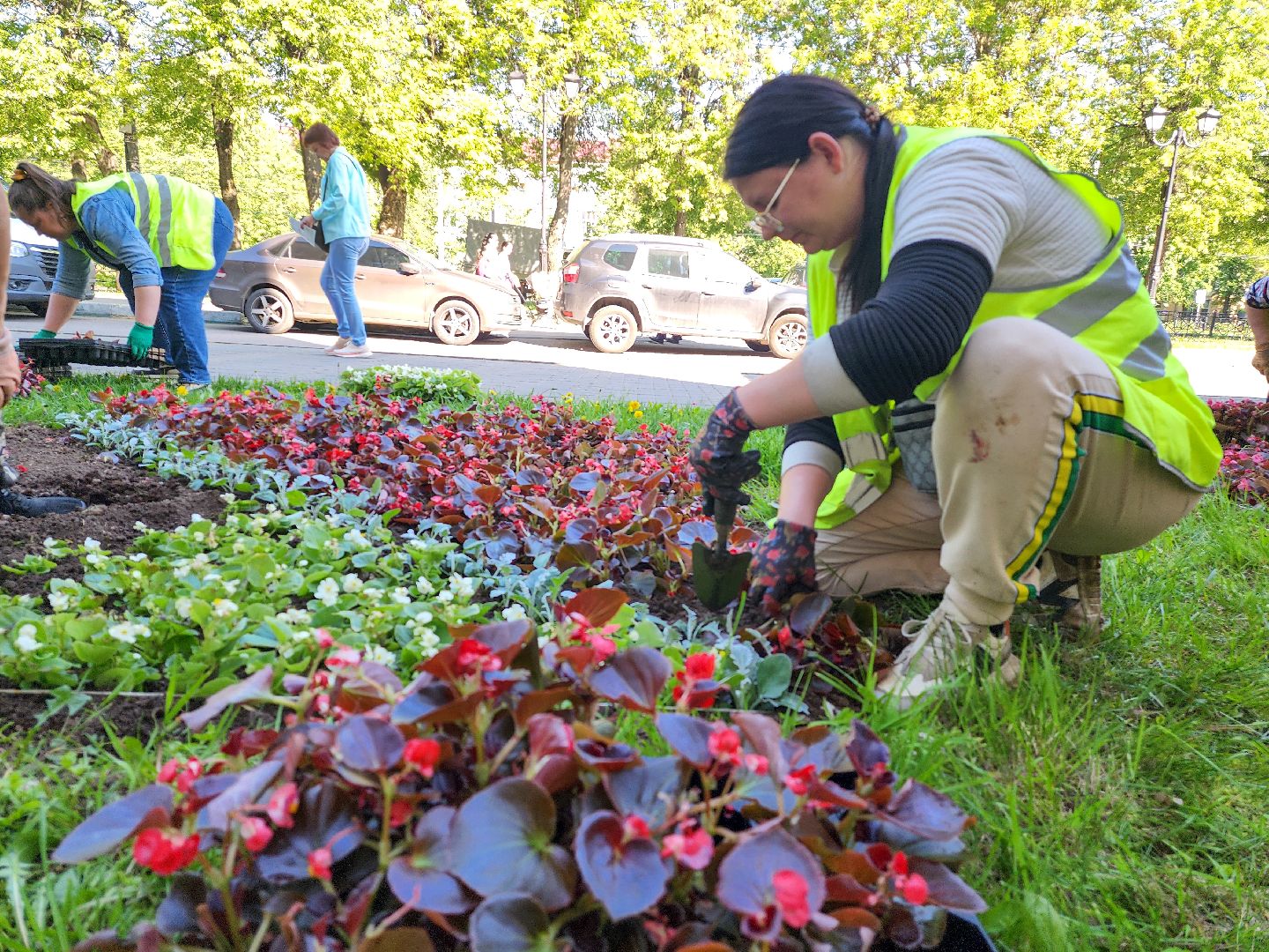 Подольск, благоустройство, цветы, клумбы,