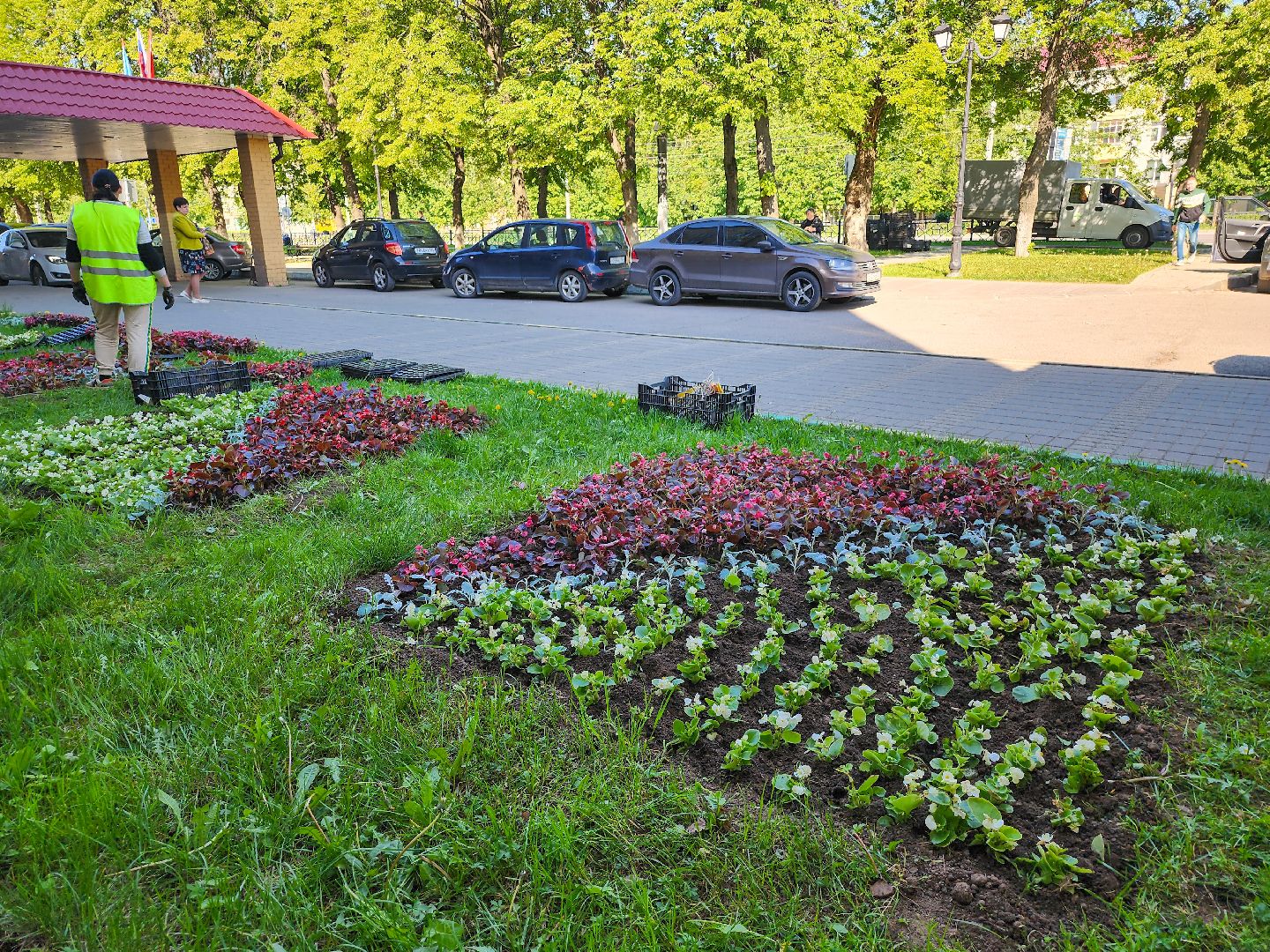 Подольск, благоустройство, цветы, клумбы,