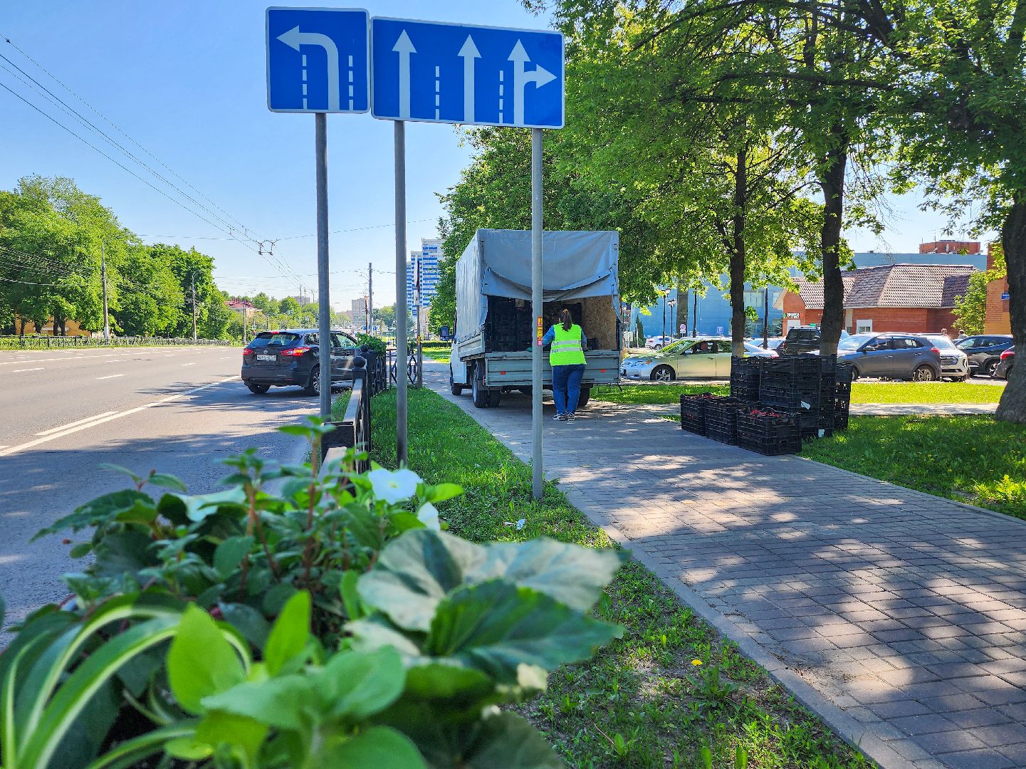 Подольск, благоустройство, цветы, клумбы,