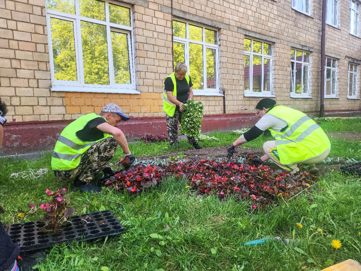 Подольск, благоустройство, цветы, клумбы,