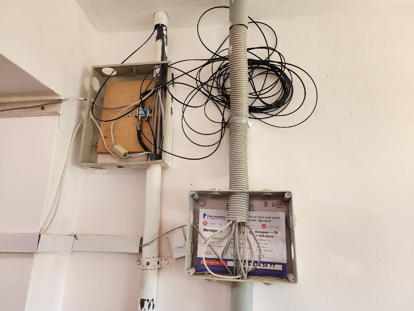 чехов, выездная администрация, встреча с жителями, обращения граждан, улица чехова, жилой дом, ремонт в подъезде, уборка в подъезде, содержание жилого дома, мбу чеховское благоустройство, глава округа михаил собакин,