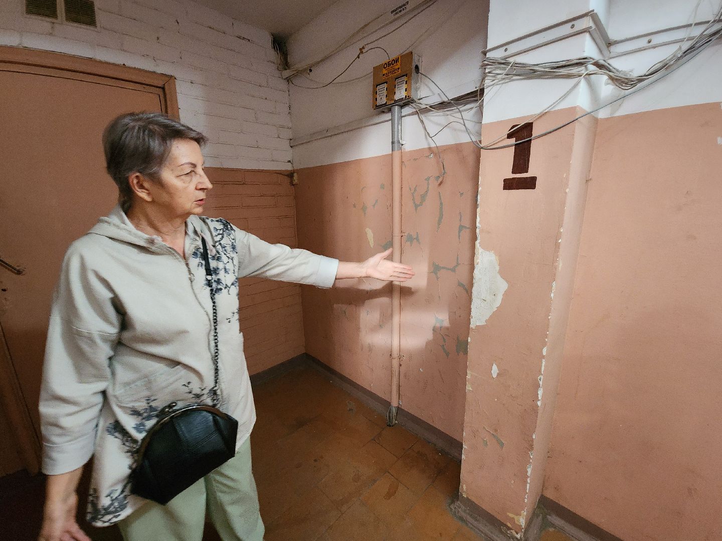 чехов, выездная администрация, встреча с жителями, обращения граждан, улица чехова, жилой дом, ремонт в подъезде, уборка в подъезде, содержание жилого дома, мбу чеховское благоустройство, глава округа михаил собакин,