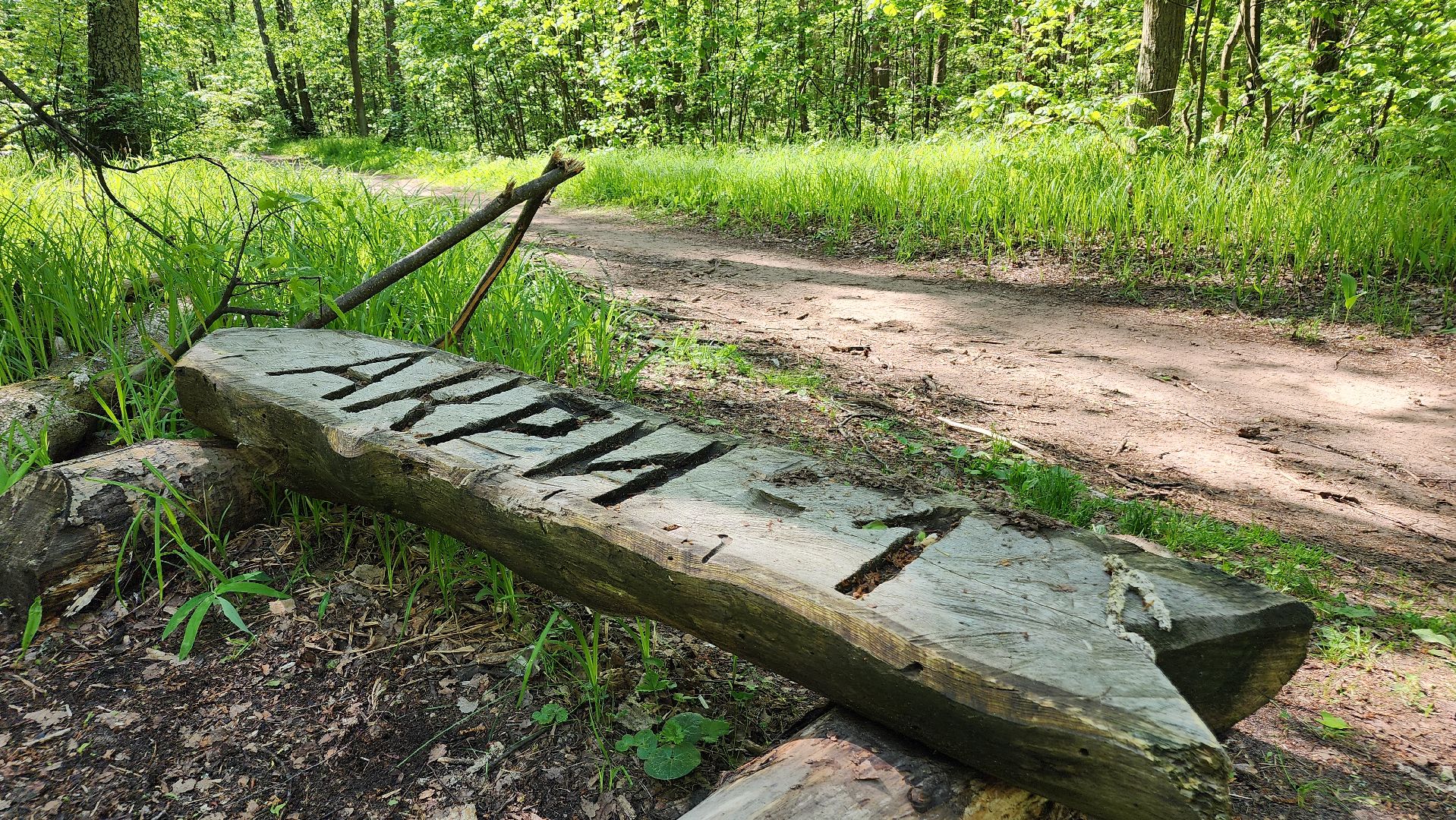 ступино, ландыши, экология,