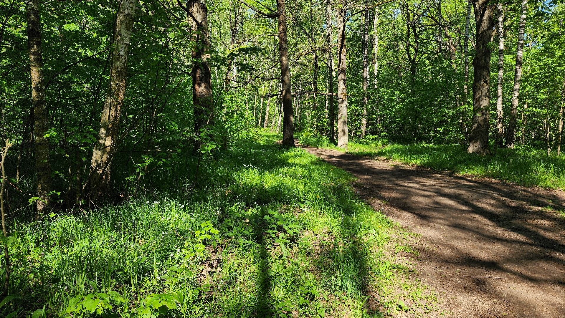 ступино, ландыши, экология,
