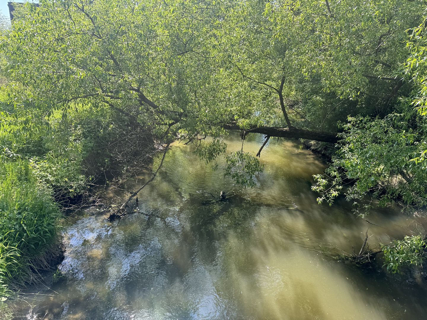 акция вода россии, ленинский городской округ, река битца , субботник ,