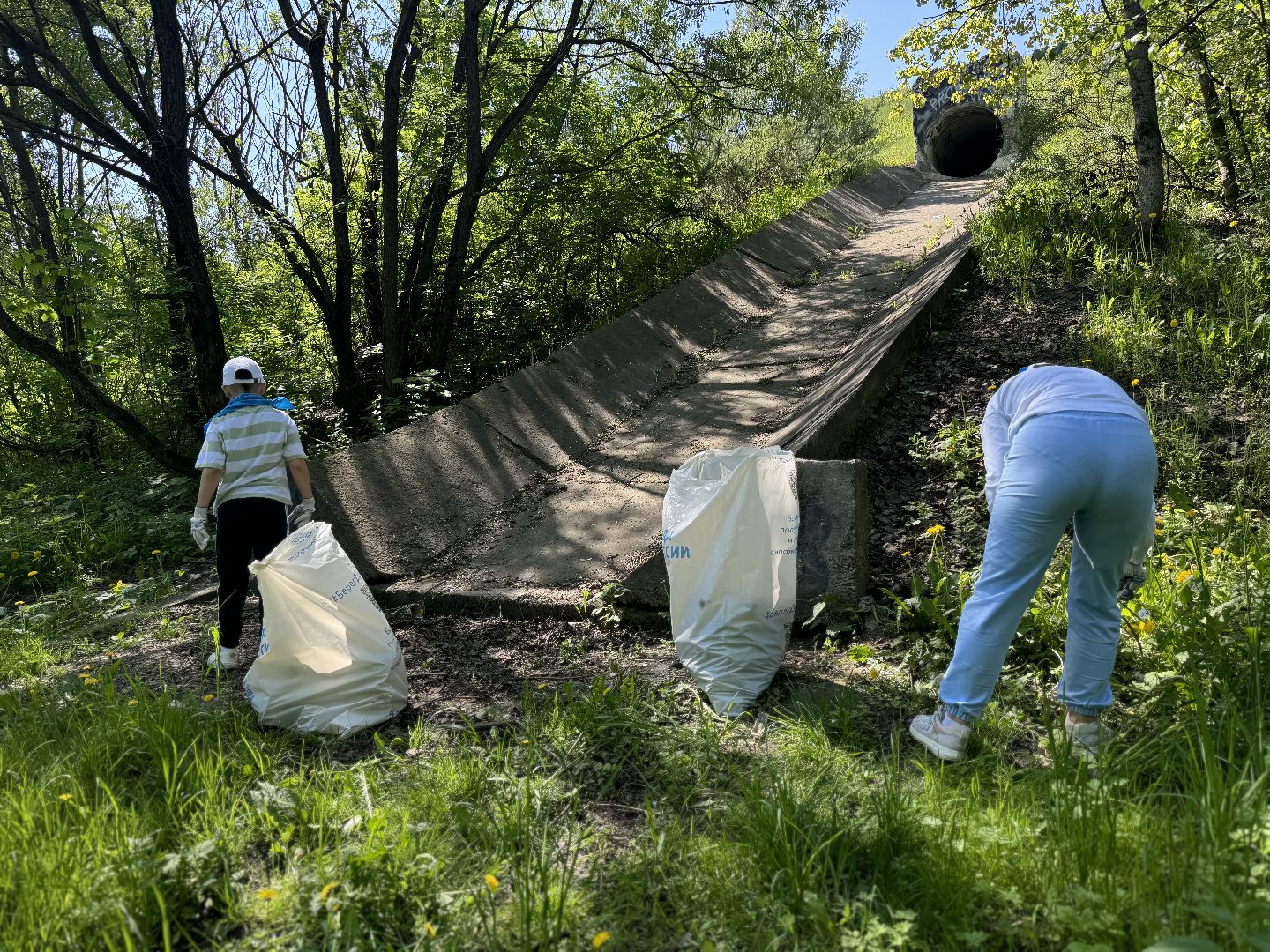 акция вода россии, ленинский городской округ, река битца , субботник ,