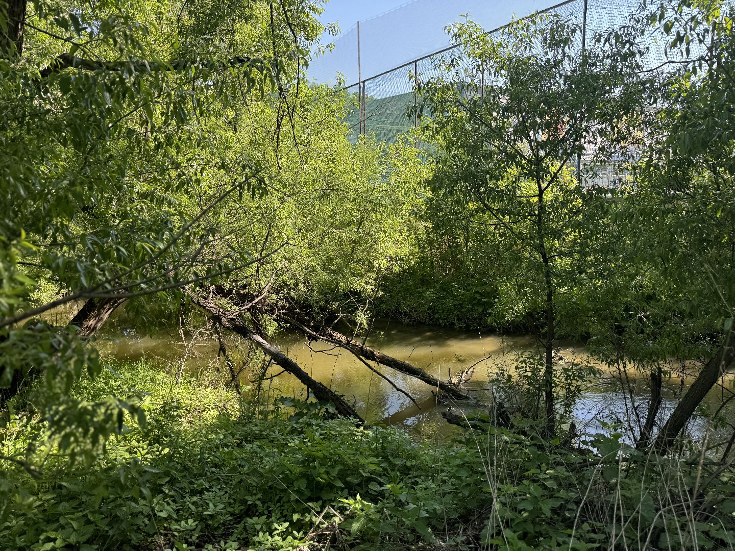 акция вода россии, ленинский городской округ, река битца , субботник ,