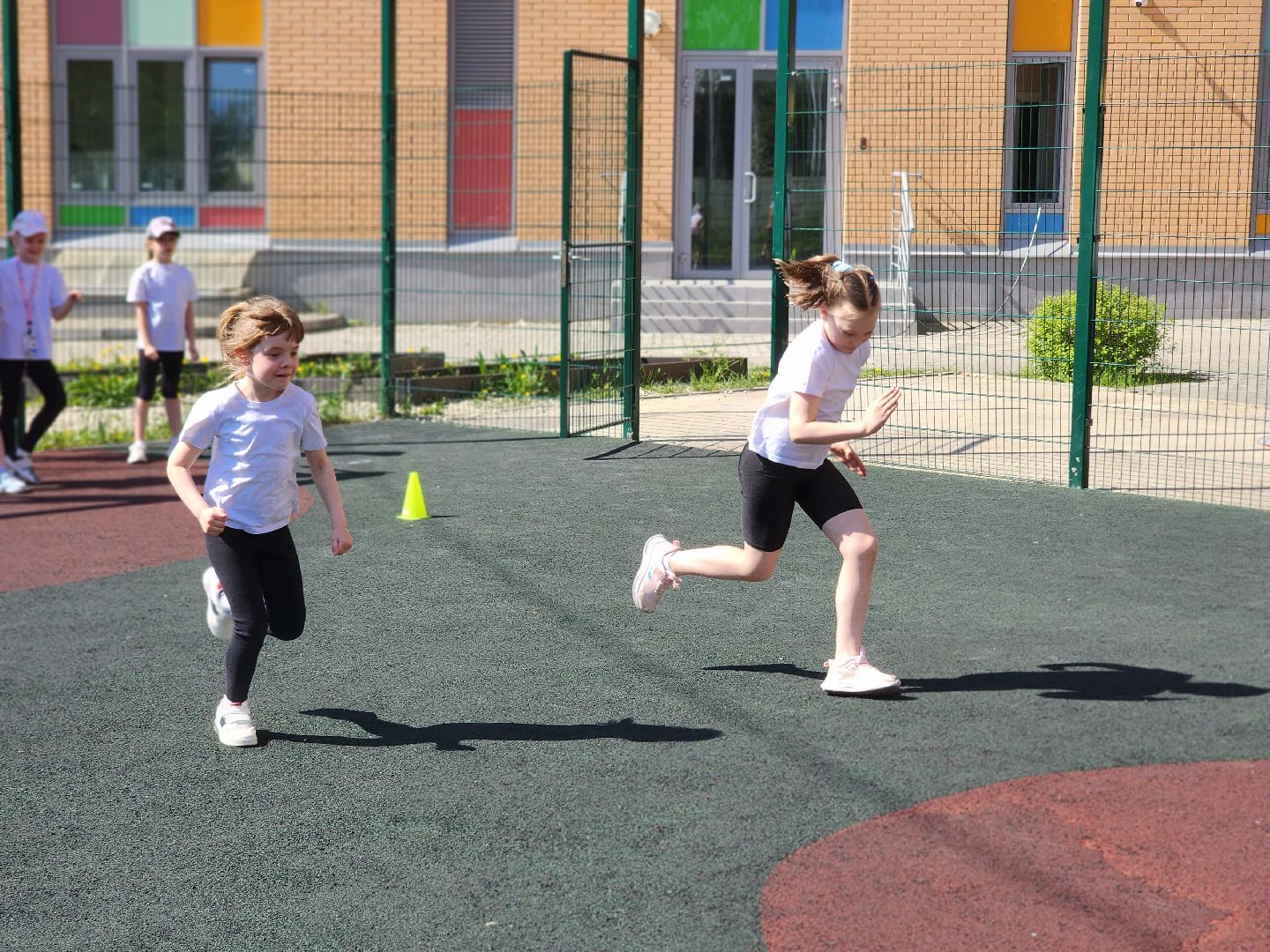 королёв, гто в королеве,  спортивная молодежь в королеве ,