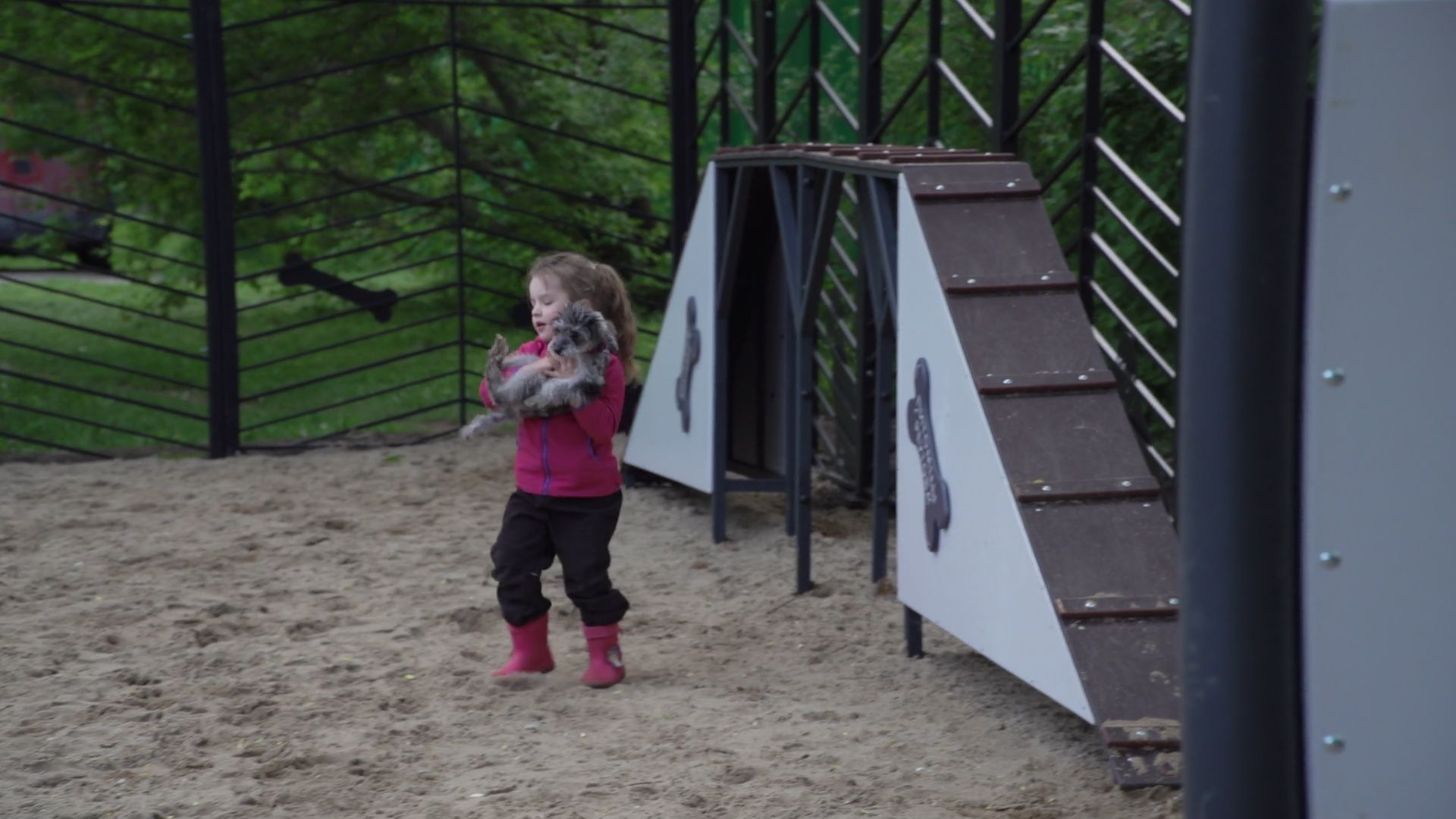 Реутов, площадка для выгула собак, животные, собаки, реконструкция,