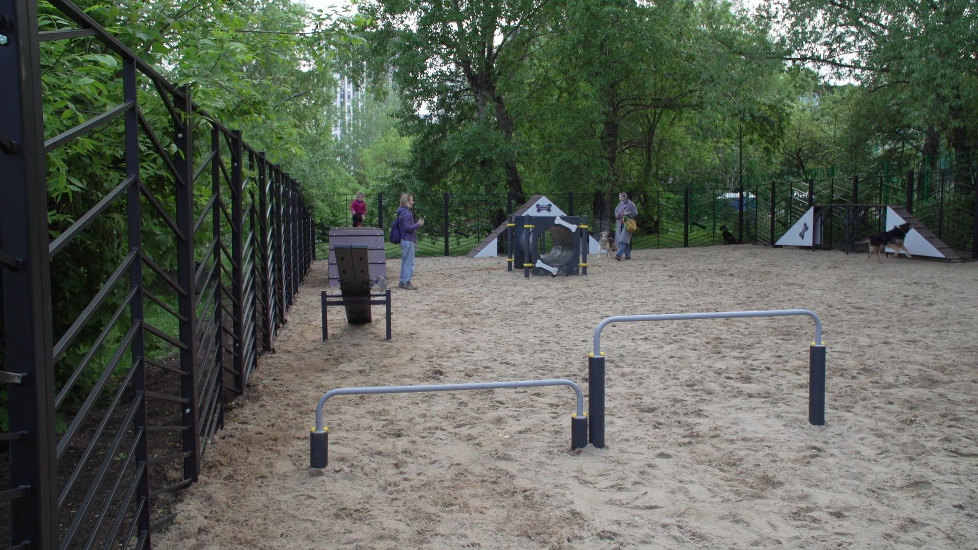 Реутов, площадка для выгула собак, животные, собаки, реконструкция,