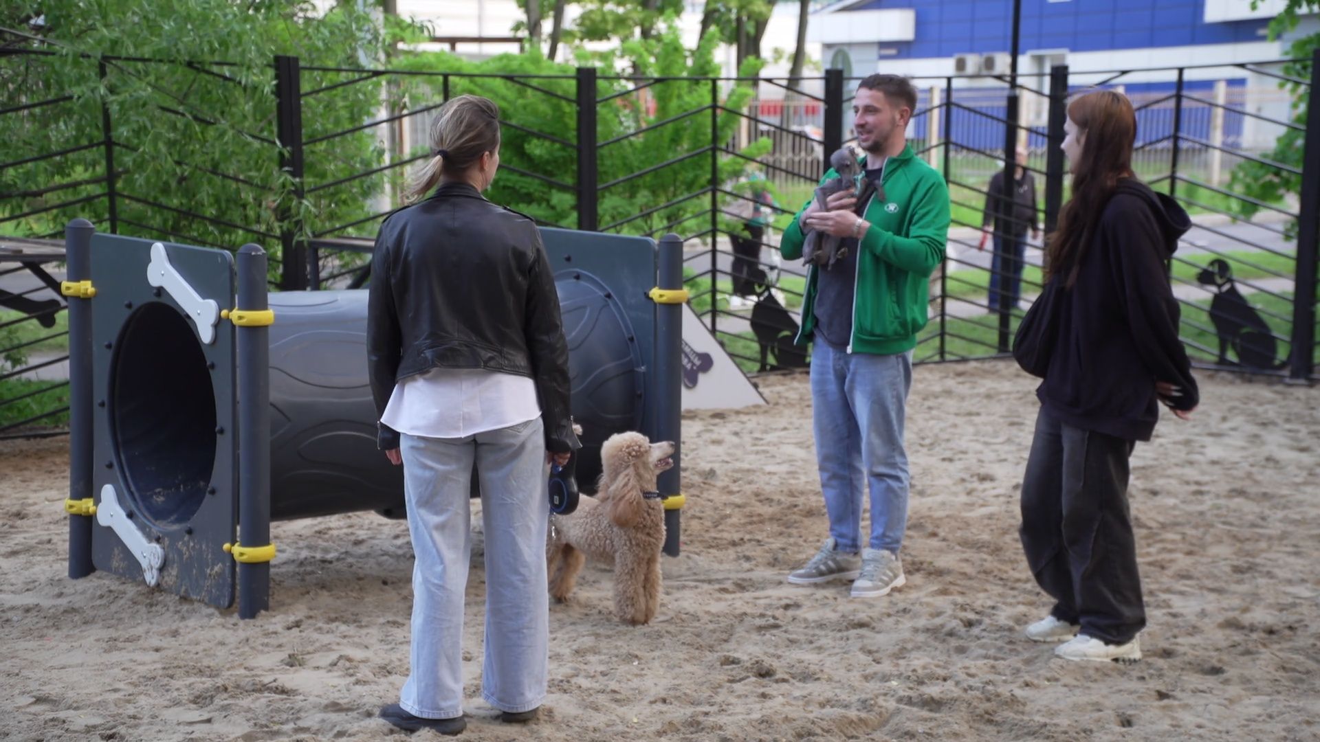 Реутов, площадка для выгула собак, животные, собаки, реконструкция,