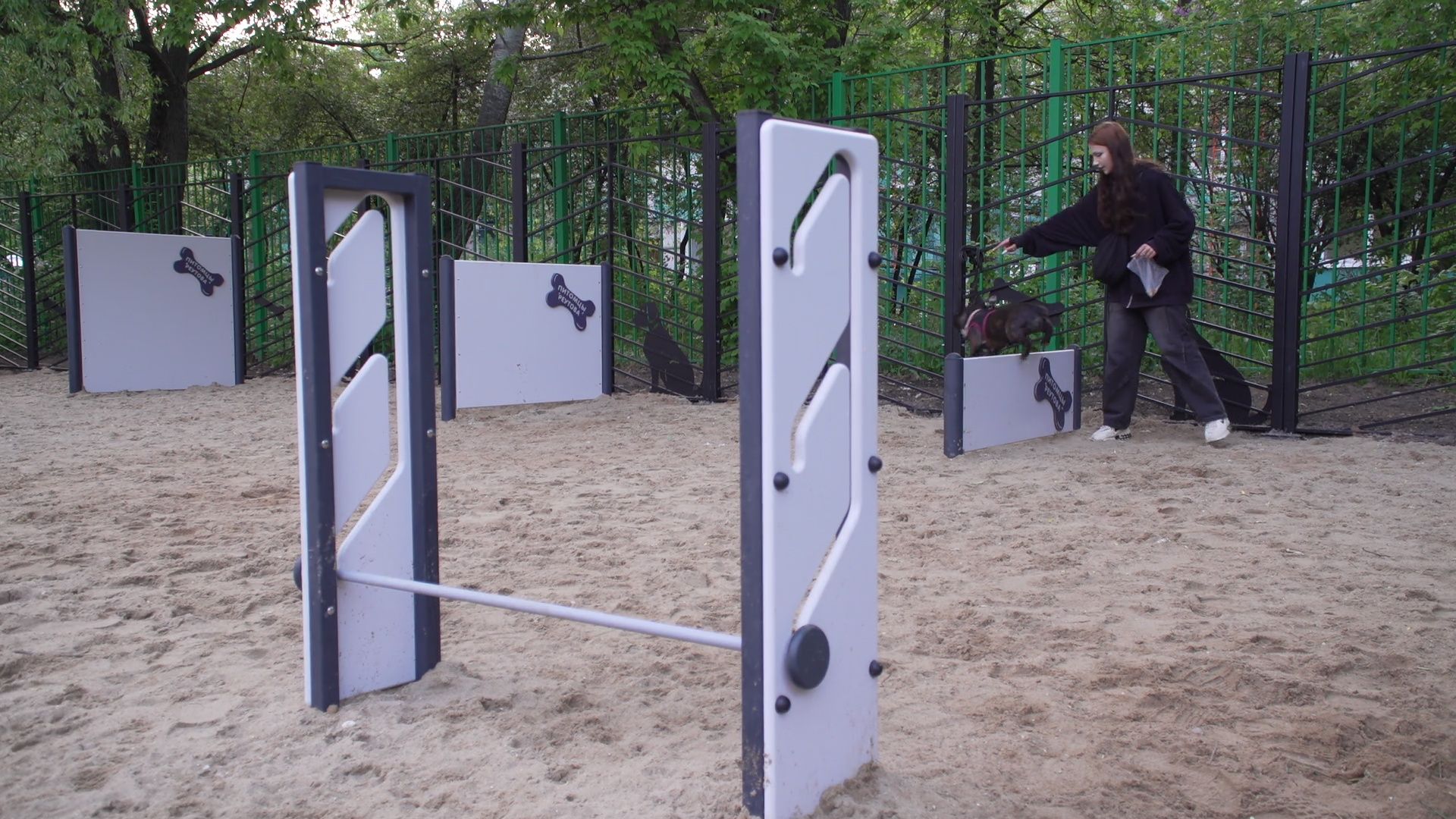 Реутов, площадка для выгула собак, животные, собаки, реконструкция,