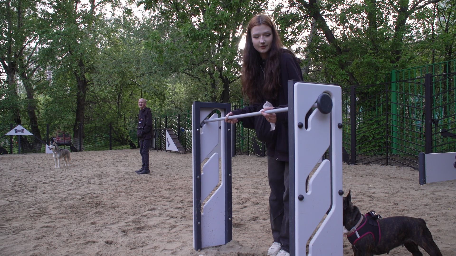 Реутов, площадка для выгула собак, животные, собаки, реконструкция,