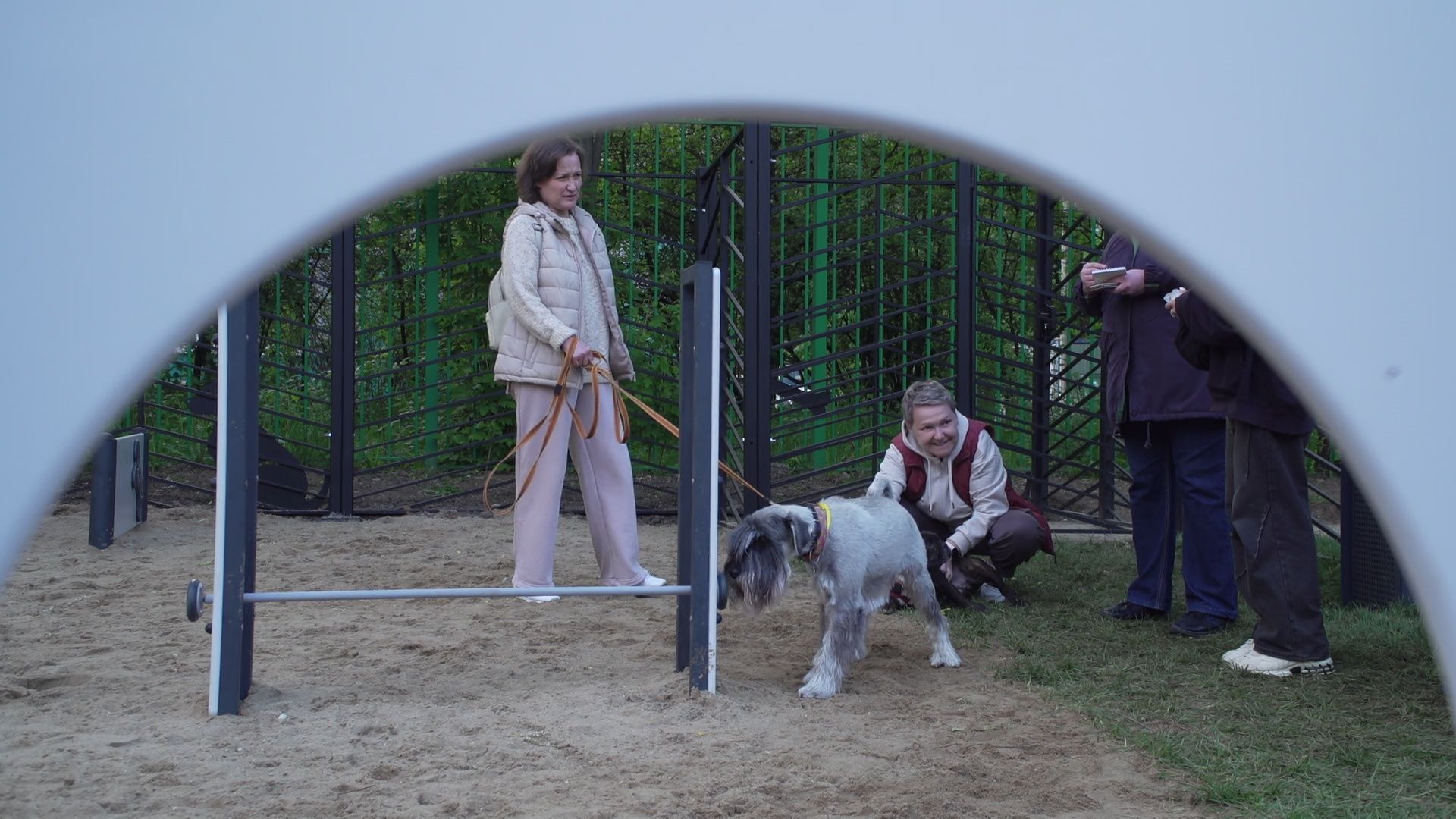 Реутов, площадка для выгула собак, животные, собаки, реконструкция,