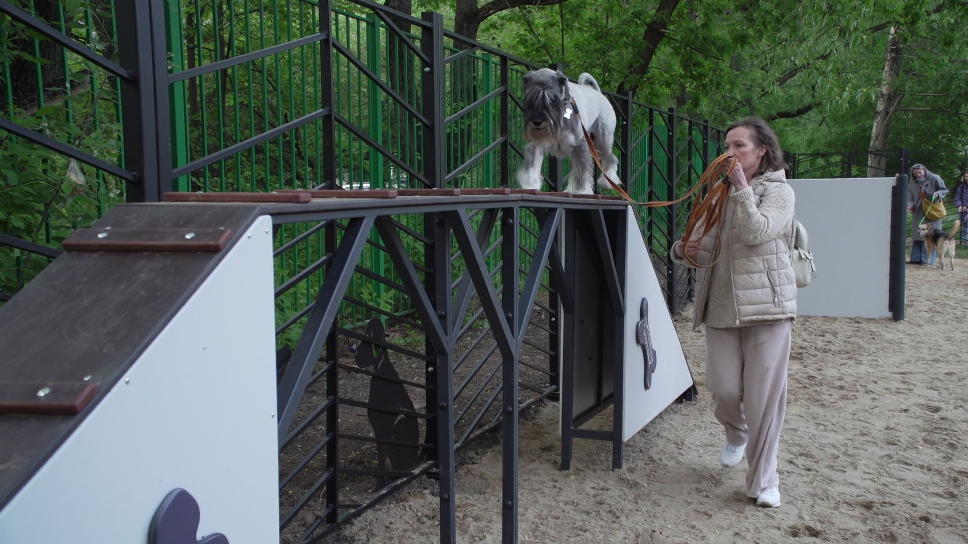 Реутов, площадка для выгула собак, животные, собаки, реконструкция,