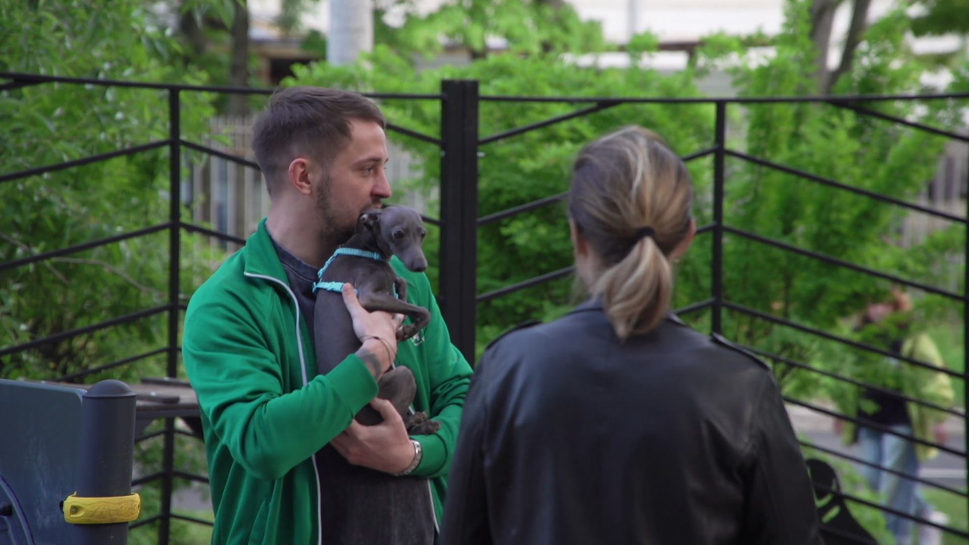 Реутов, площадка для выгула собак, животные, собаки, реконструкция,