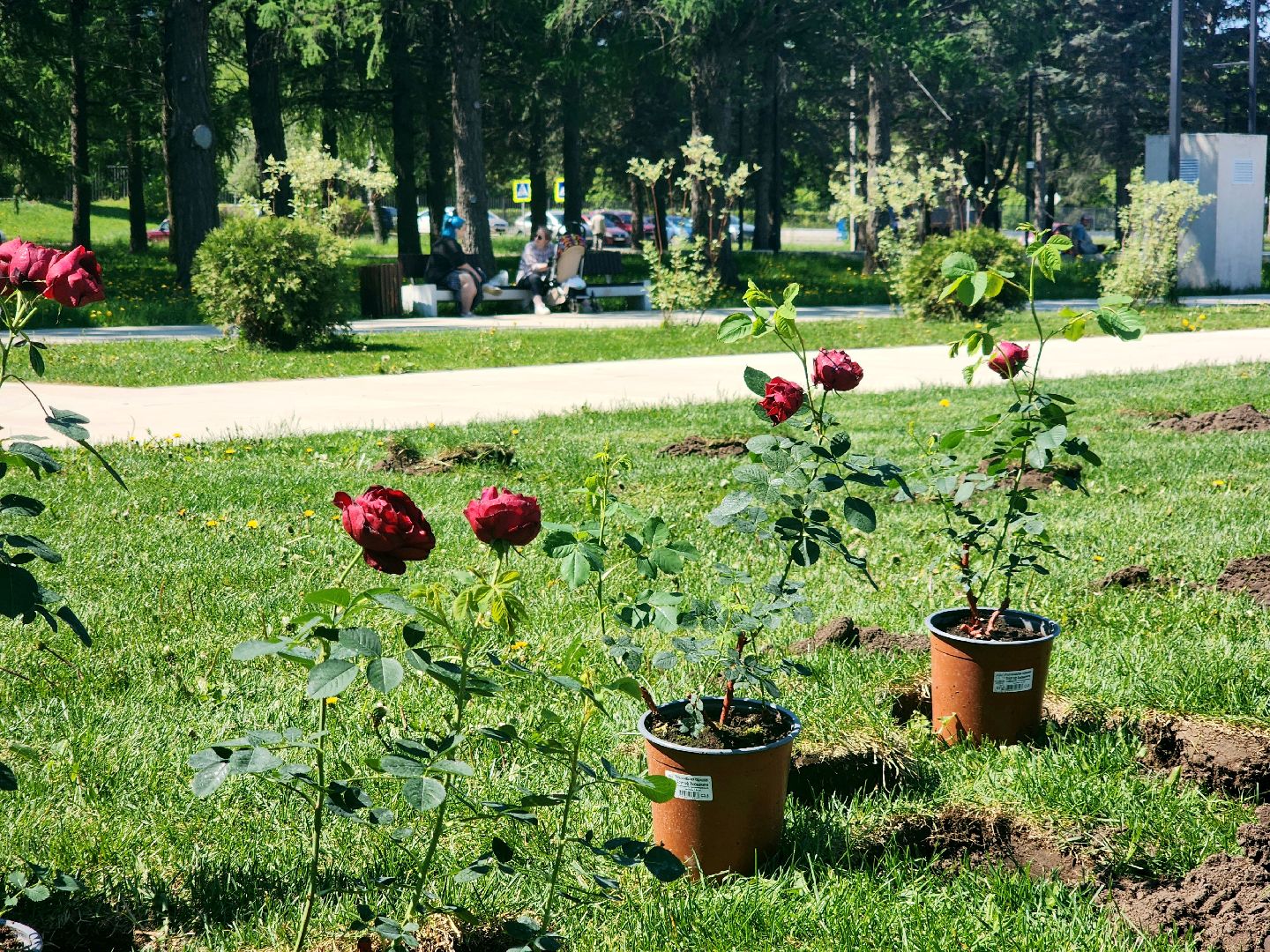 пущино, серпухов, парки, благоустройства,