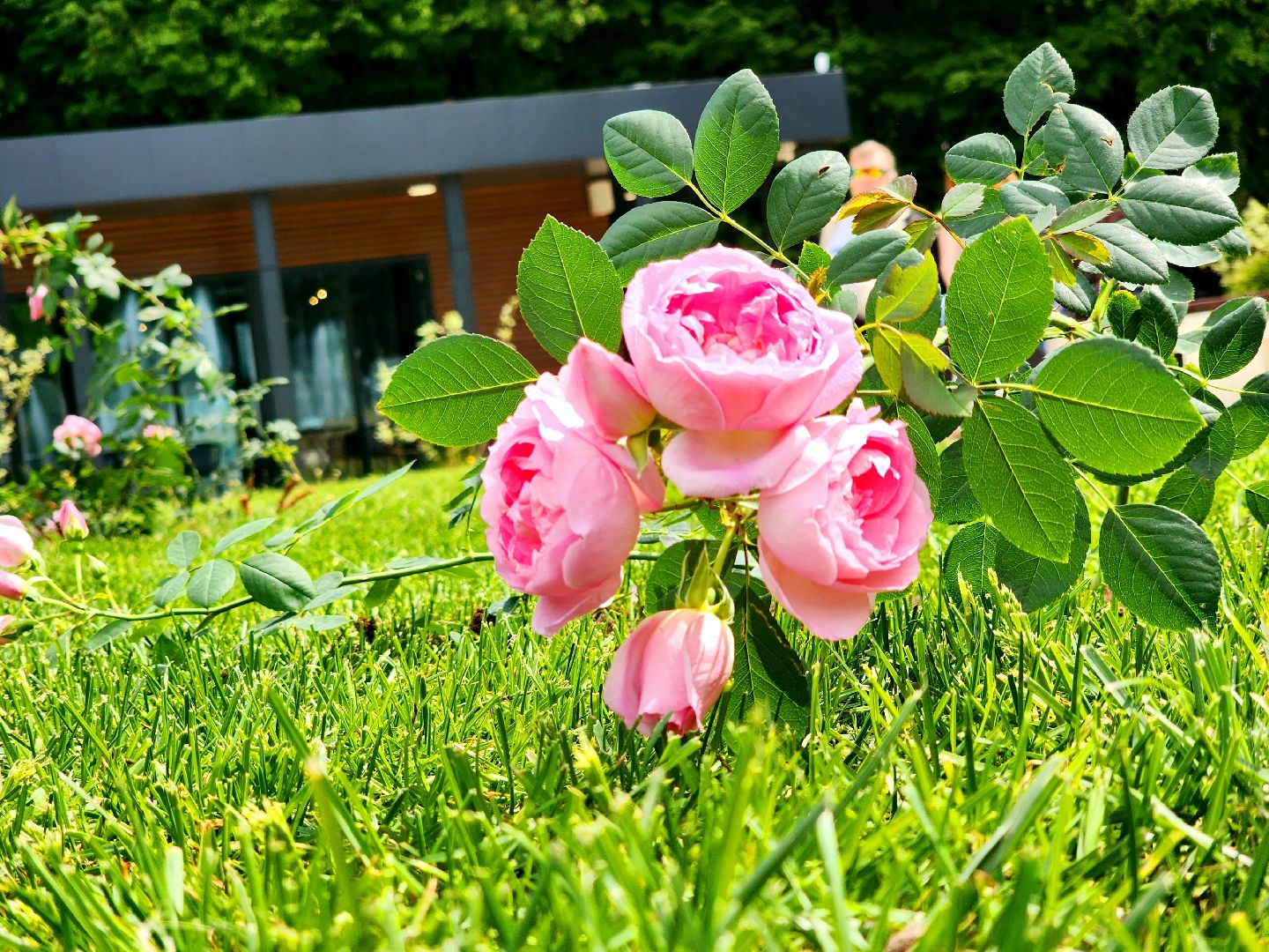 пущино, серпухов, парки, благоустройства,