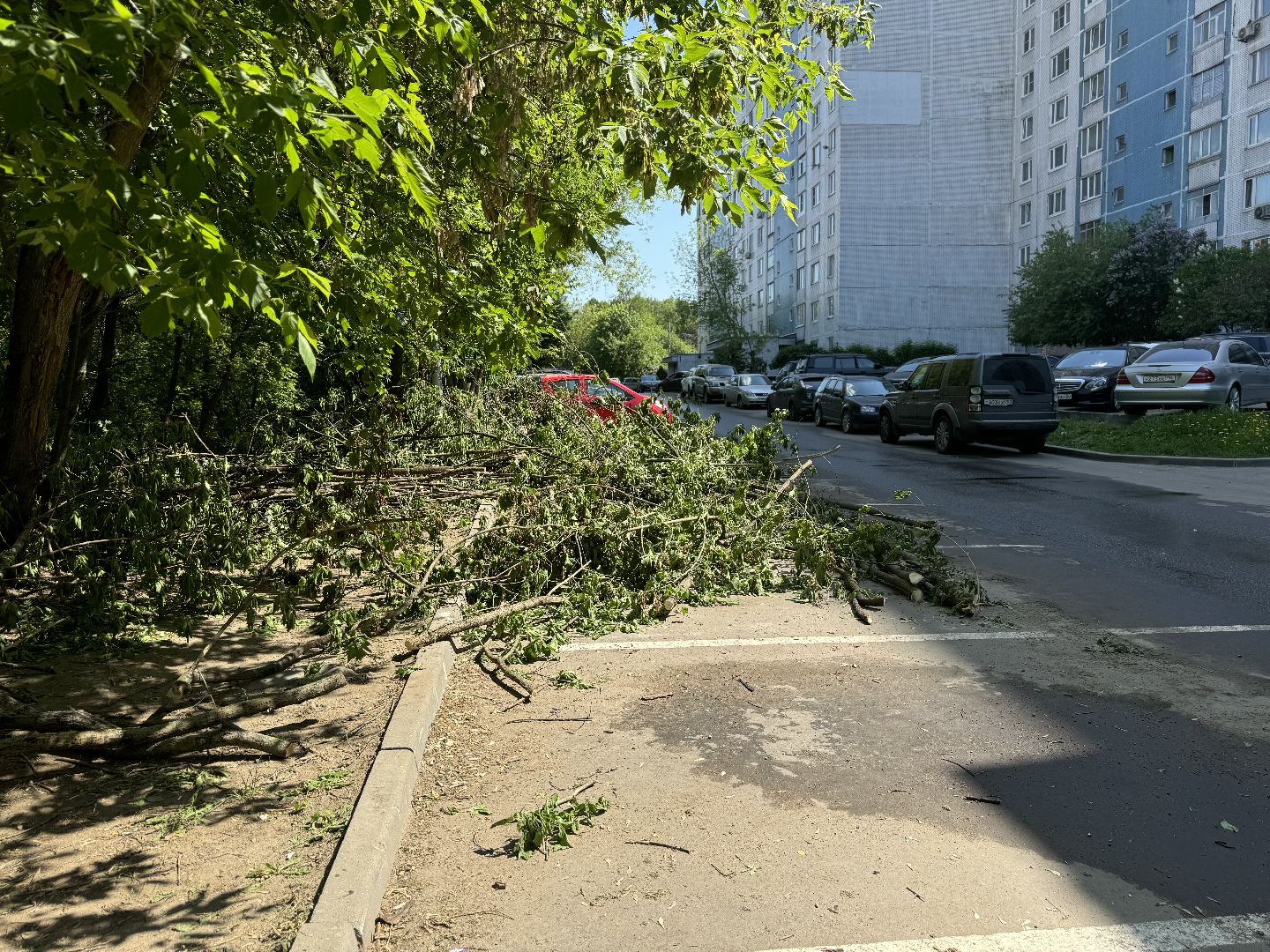благоустройство территории, расчистка оврага , ленинский городской округ,коммунальные службы,