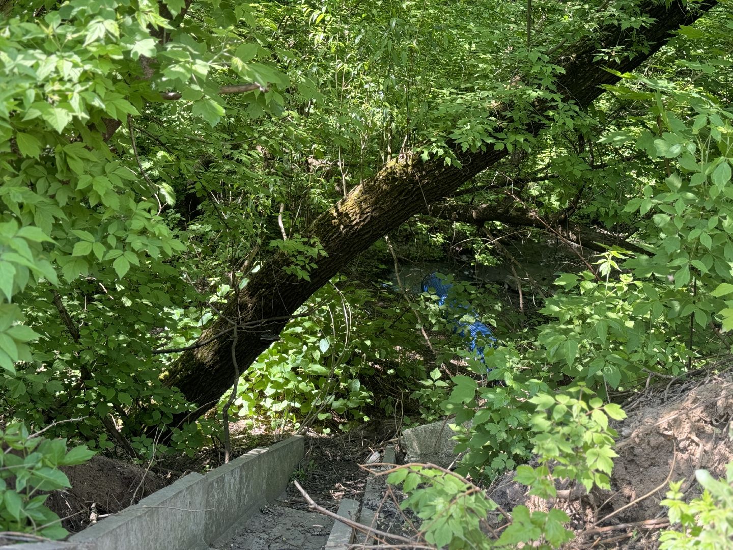 благоустройство территории, расчистка оврага , ленинский городской округ,коммунальные службы,