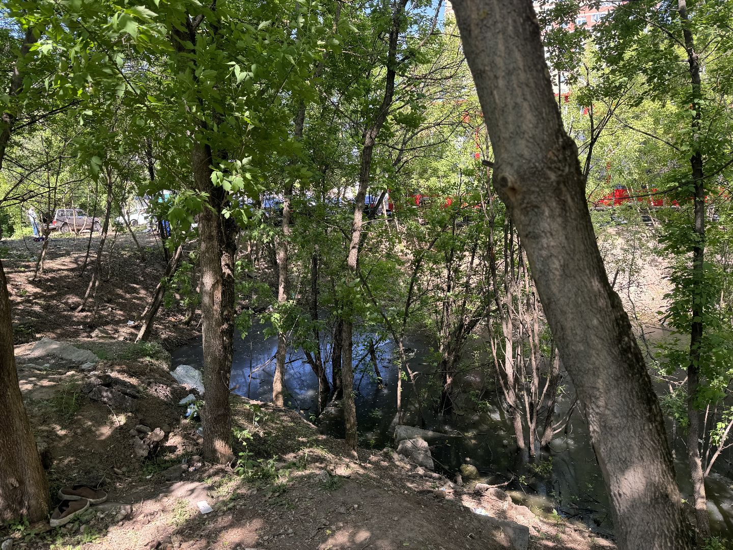 благоустройство территории, расчистка оврага , ленинский городской округ,коммунальные службы,