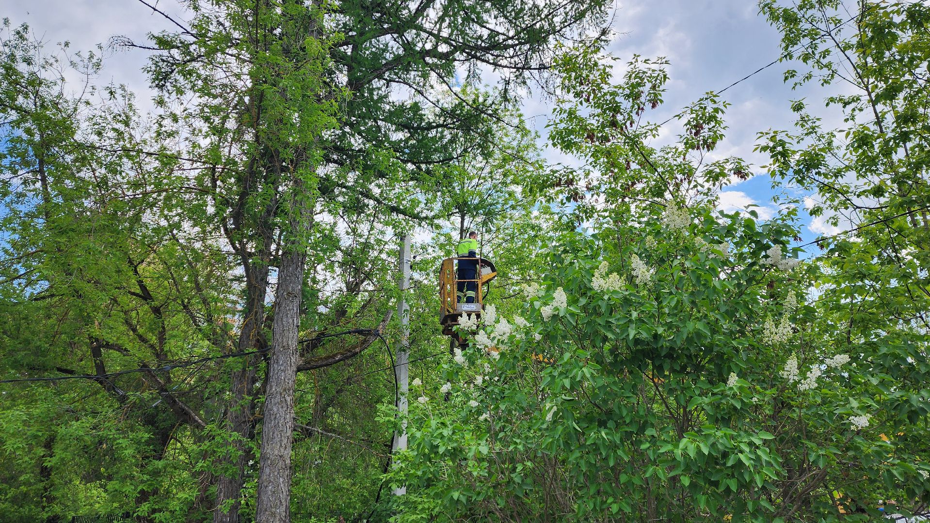 солнечногорск, жкх, уличное освещение, улица дзержинского,