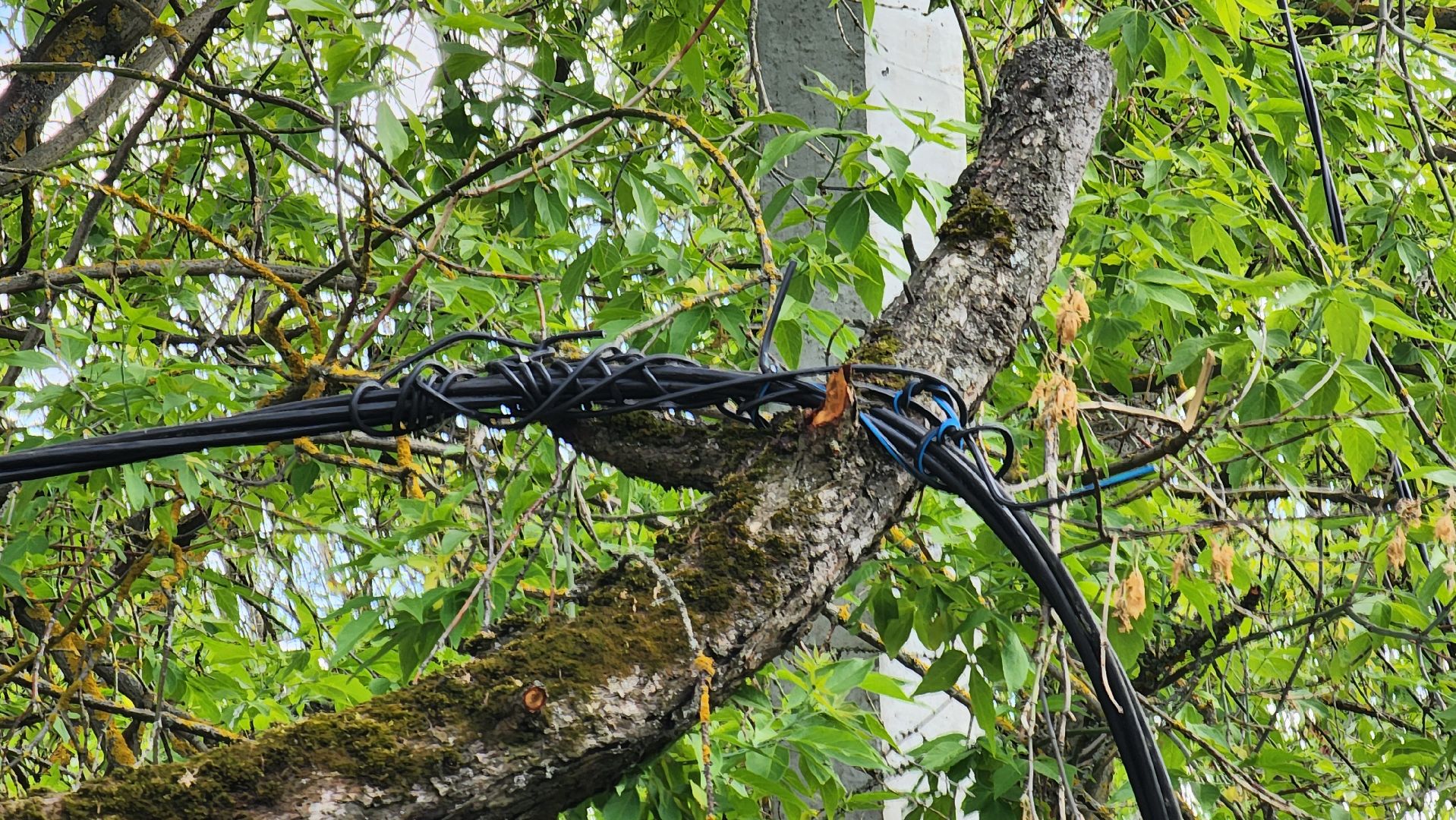 солнечногорск, жкх, уличное освещение, улица дзержинского,