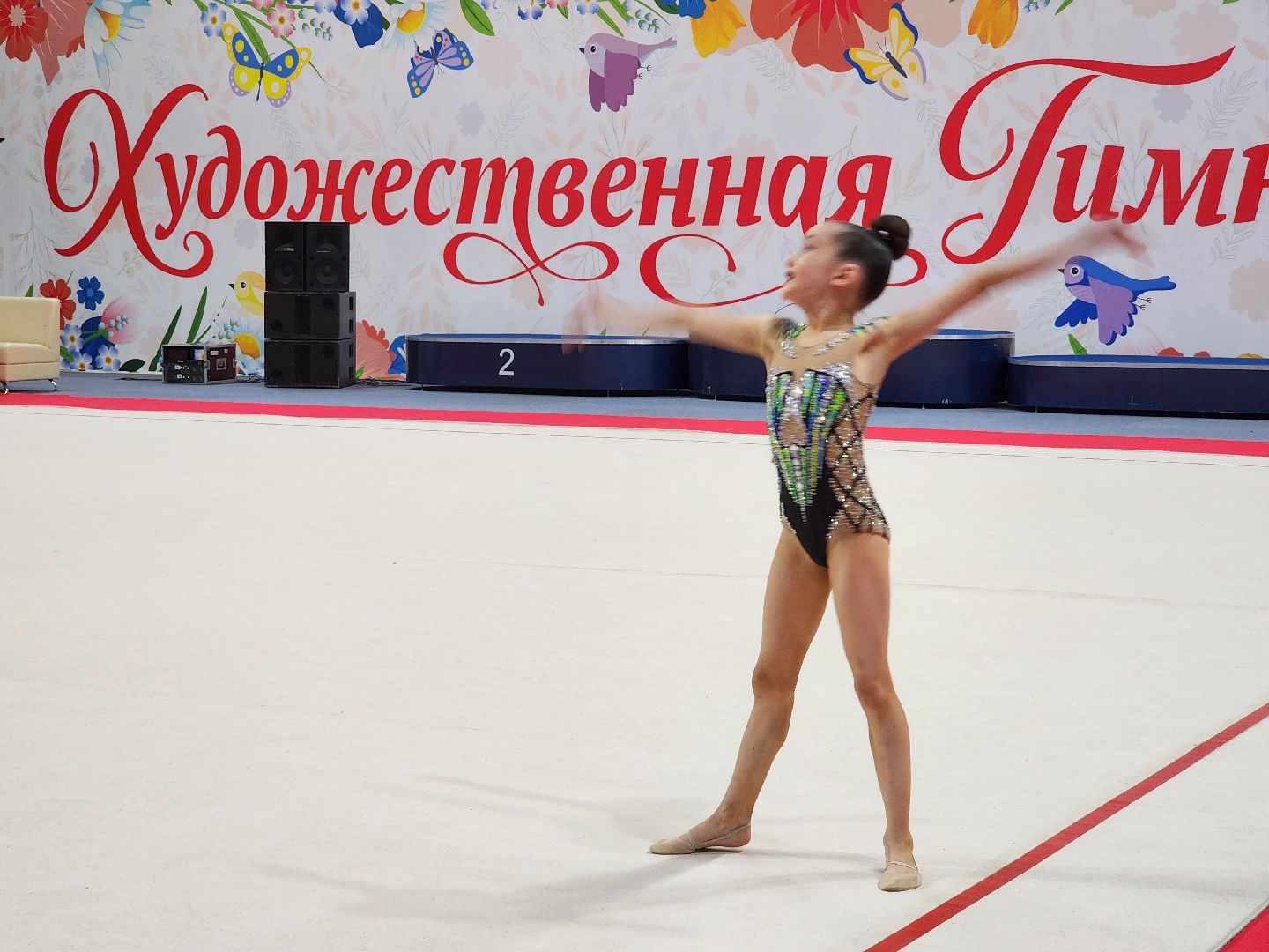 раменское, спорт, турнир по художественной гимнастике ,