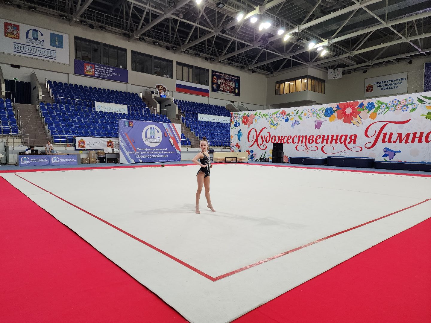 раменское, спорт, турнир по художественной гимнастике ,