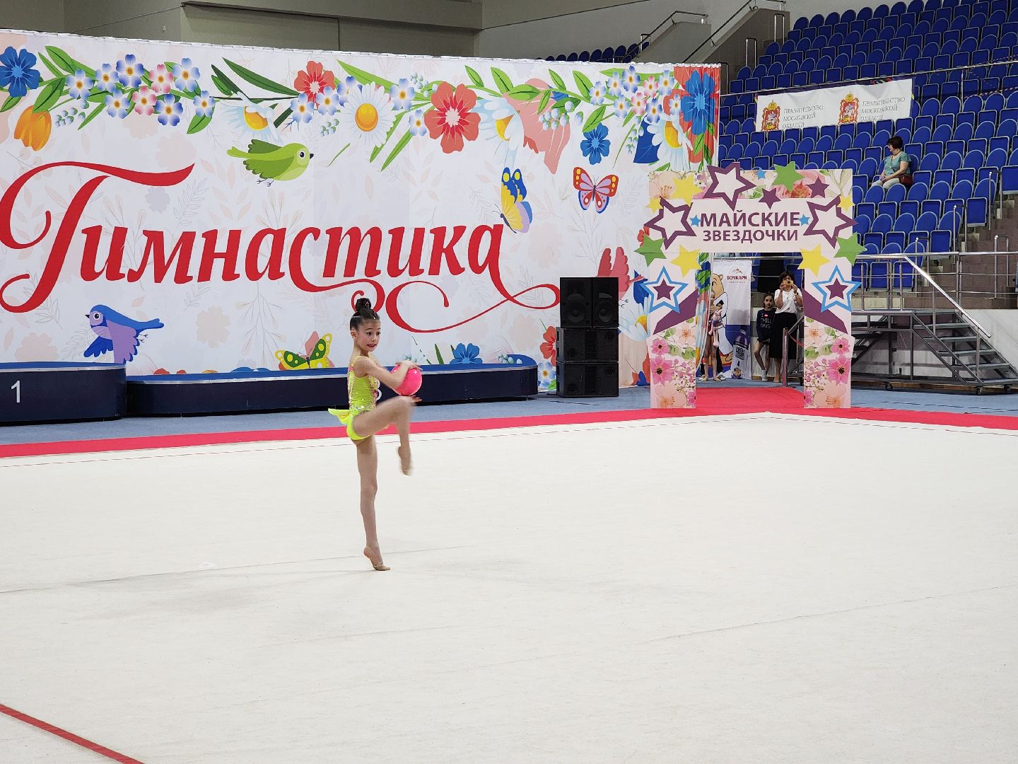 раменское, спорт, турнир по художественной гимнастике ,