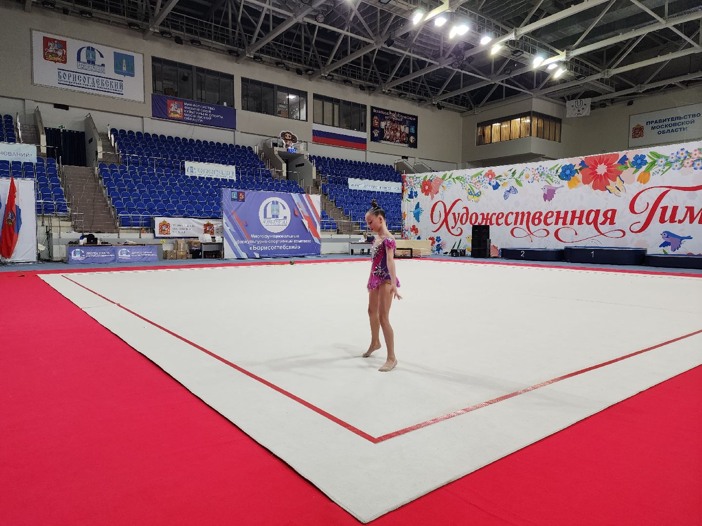 раменское, спорт, турнир по художественной гимнастике ,