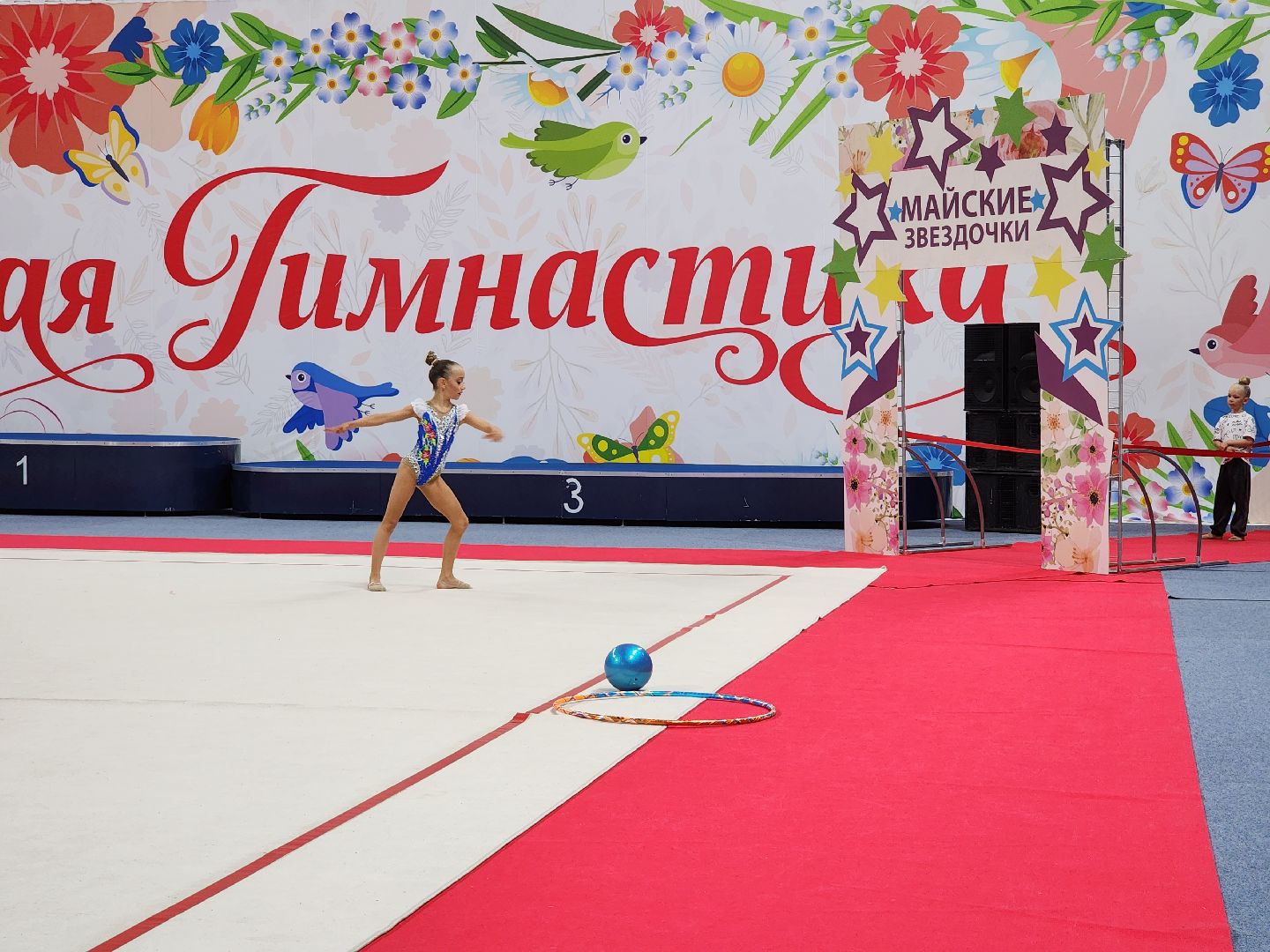 раменское, спорт, турнир по художественной гимнастике ,