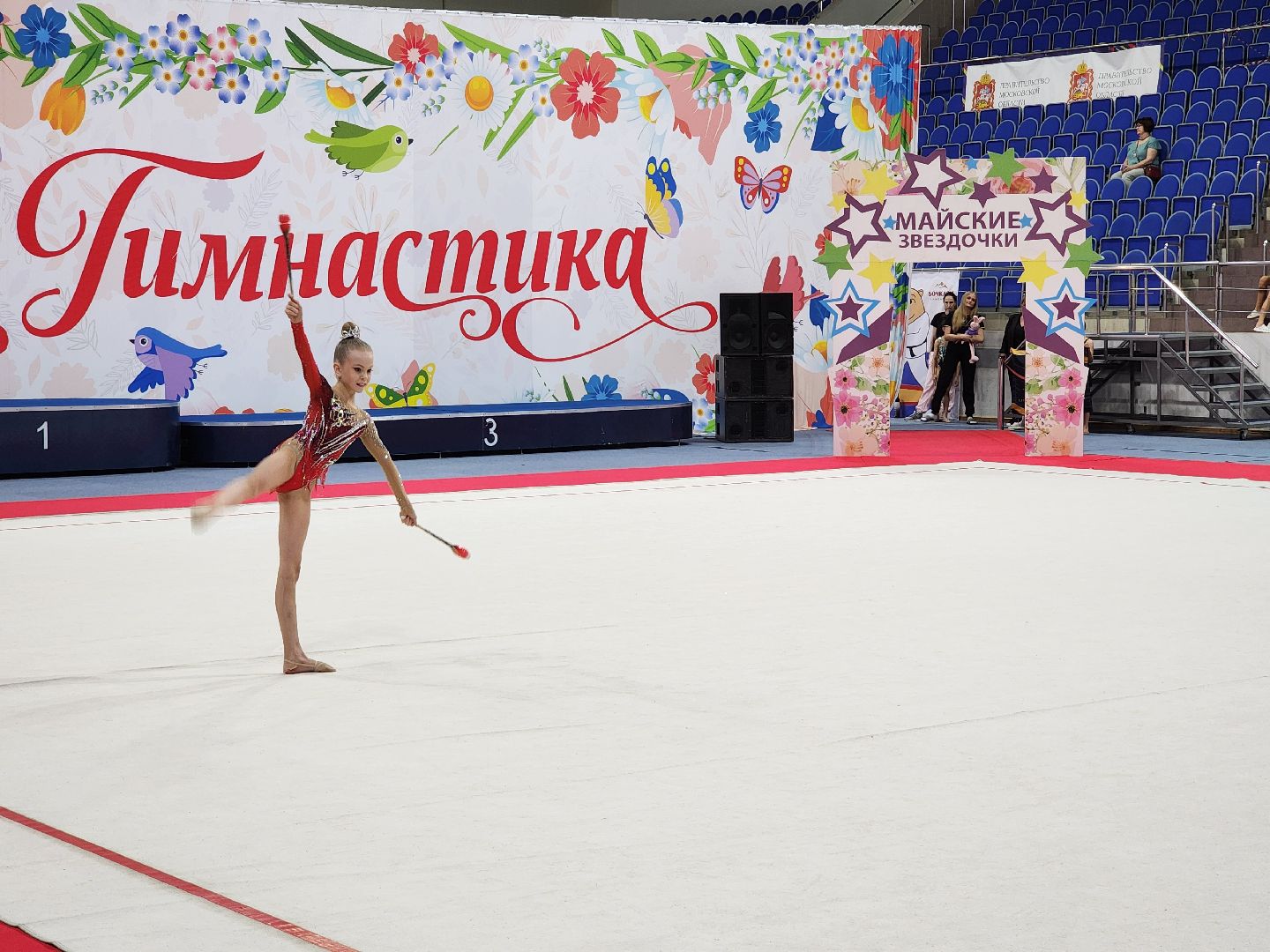 раменское, спорт, турнир по художественной гимнастике ,