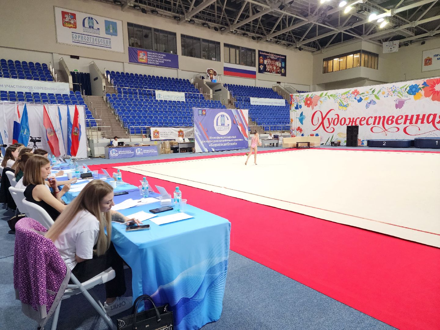 раменское, спорт, турнир по художественной гимнастике ,