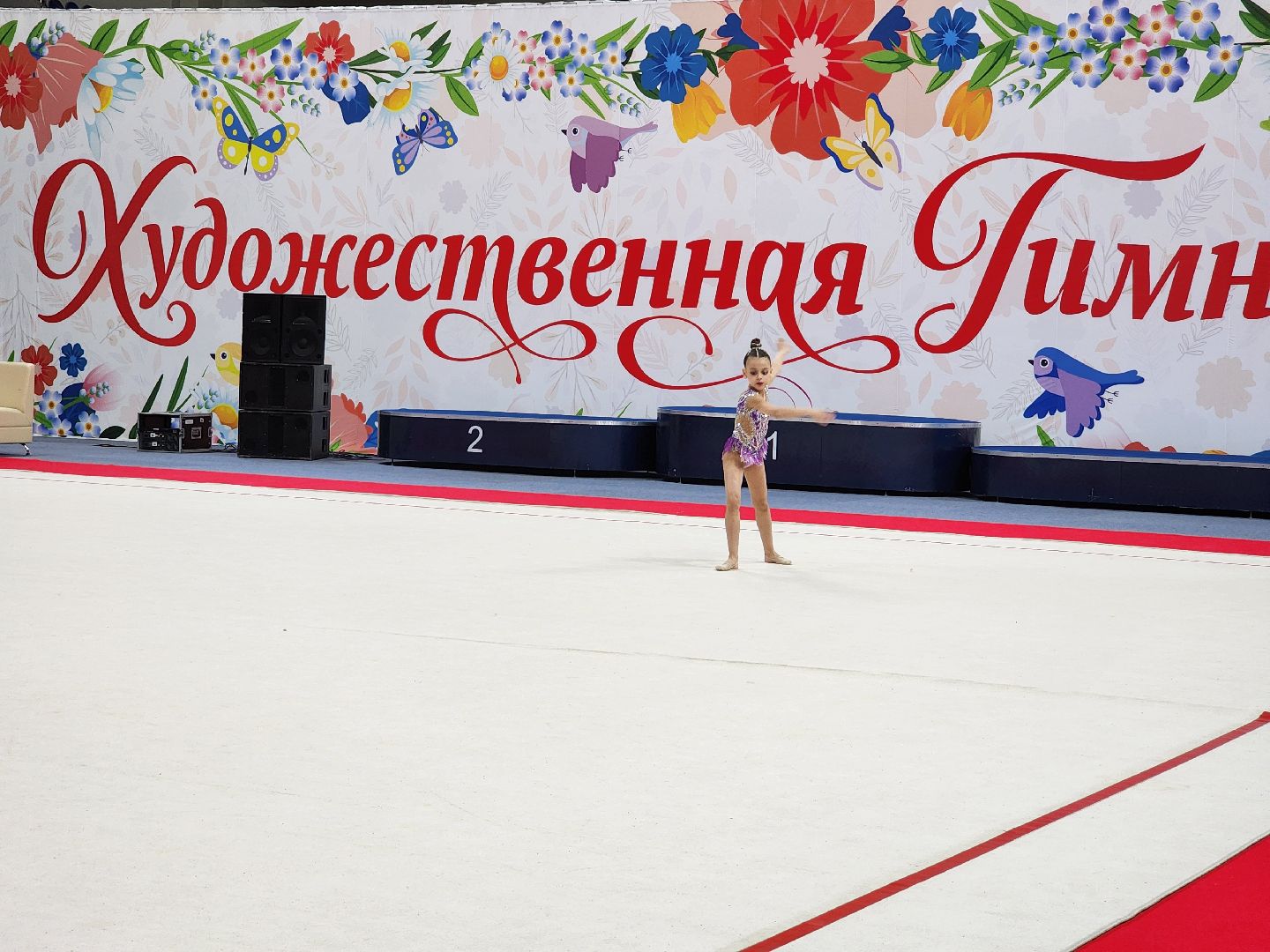 раменское, спорт, турнир по художественной гимнастике ,