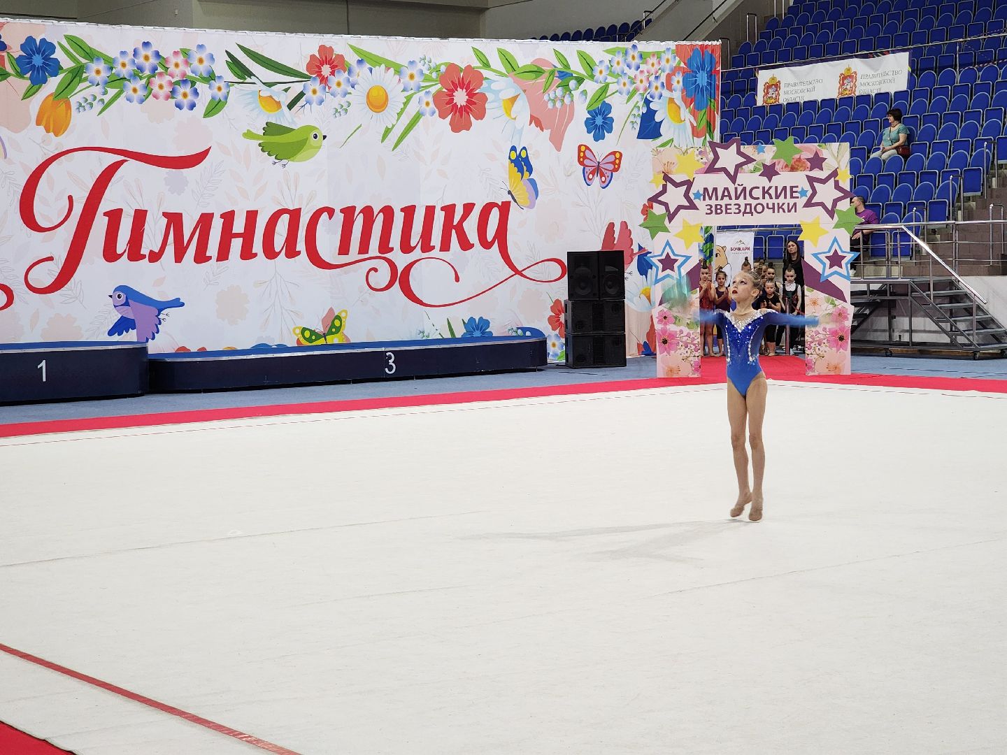 раменское, спорт, турнир по художественной гимнастике ,