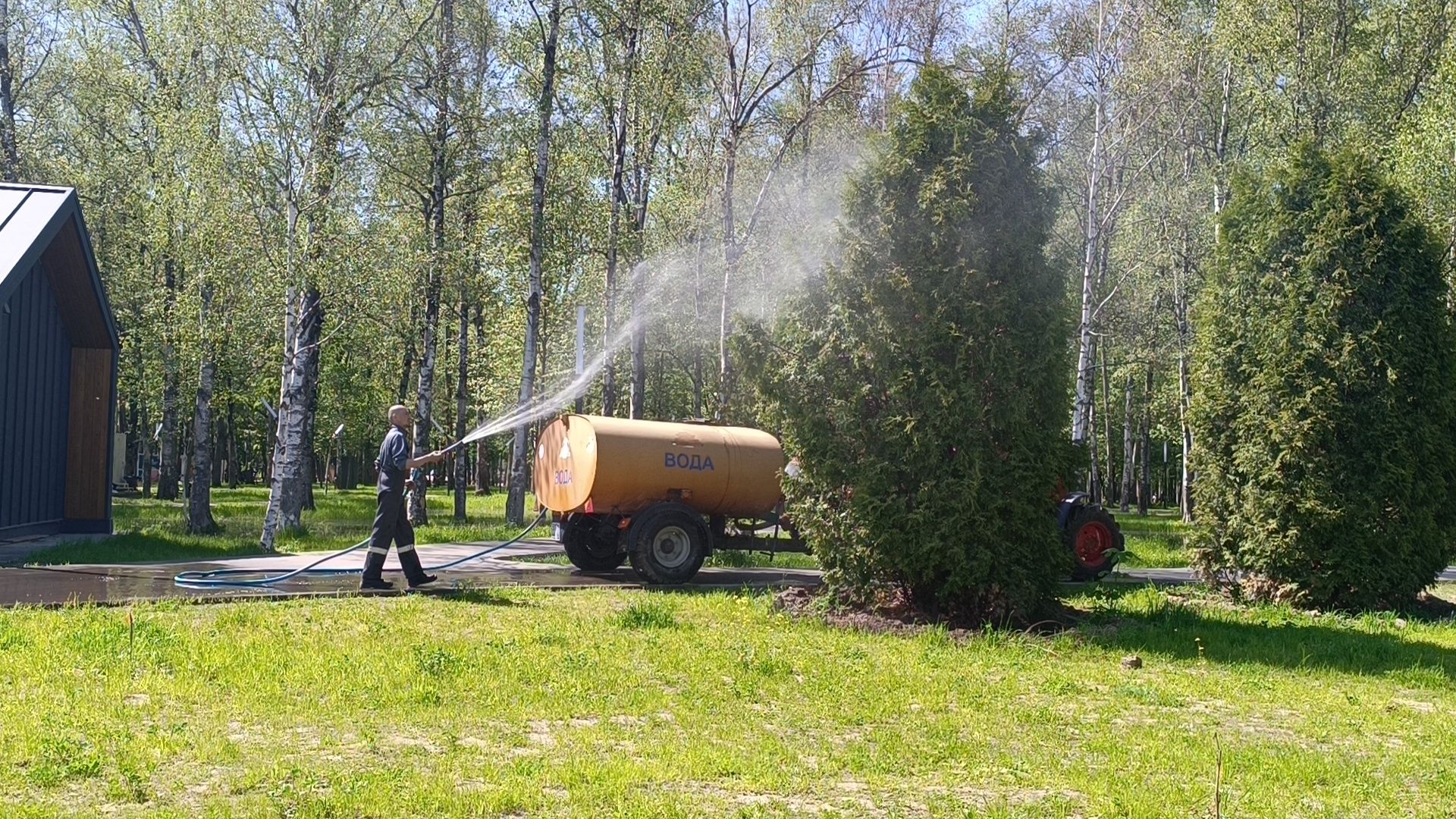 благоустройство, парк, деревья,