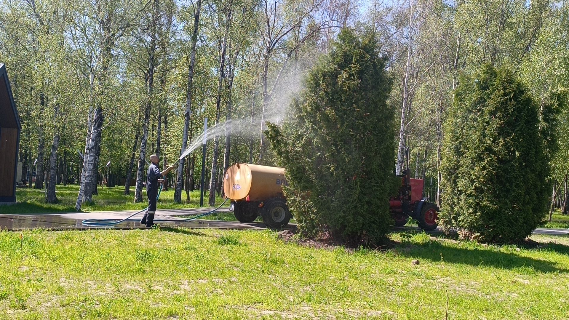 благоустройство, парк, деревья,