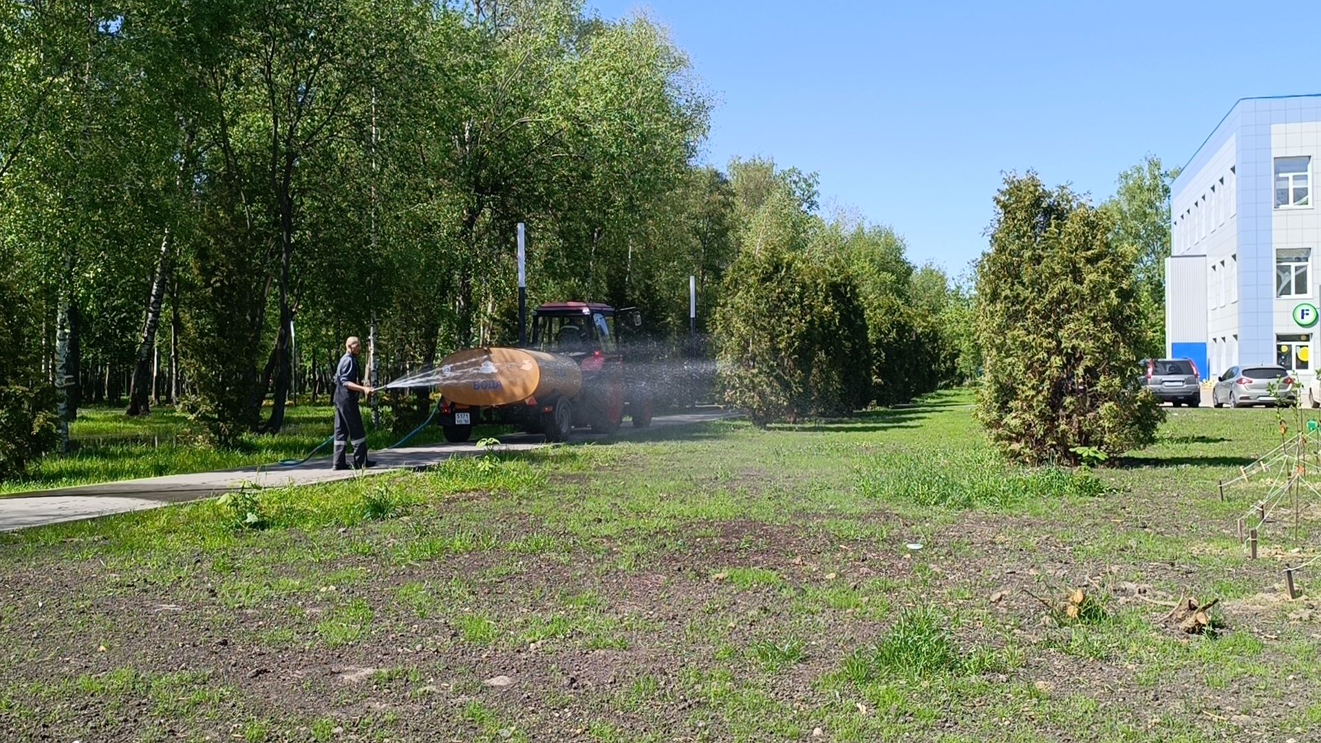 благоустройство, парк, деревья,