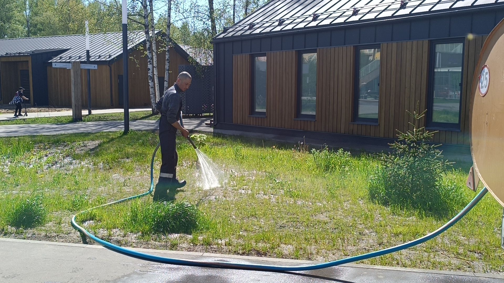 благоустройство, парк, деревья,