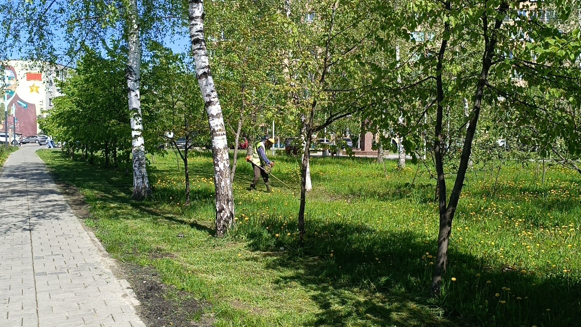 благоустройство, парк, деревья,