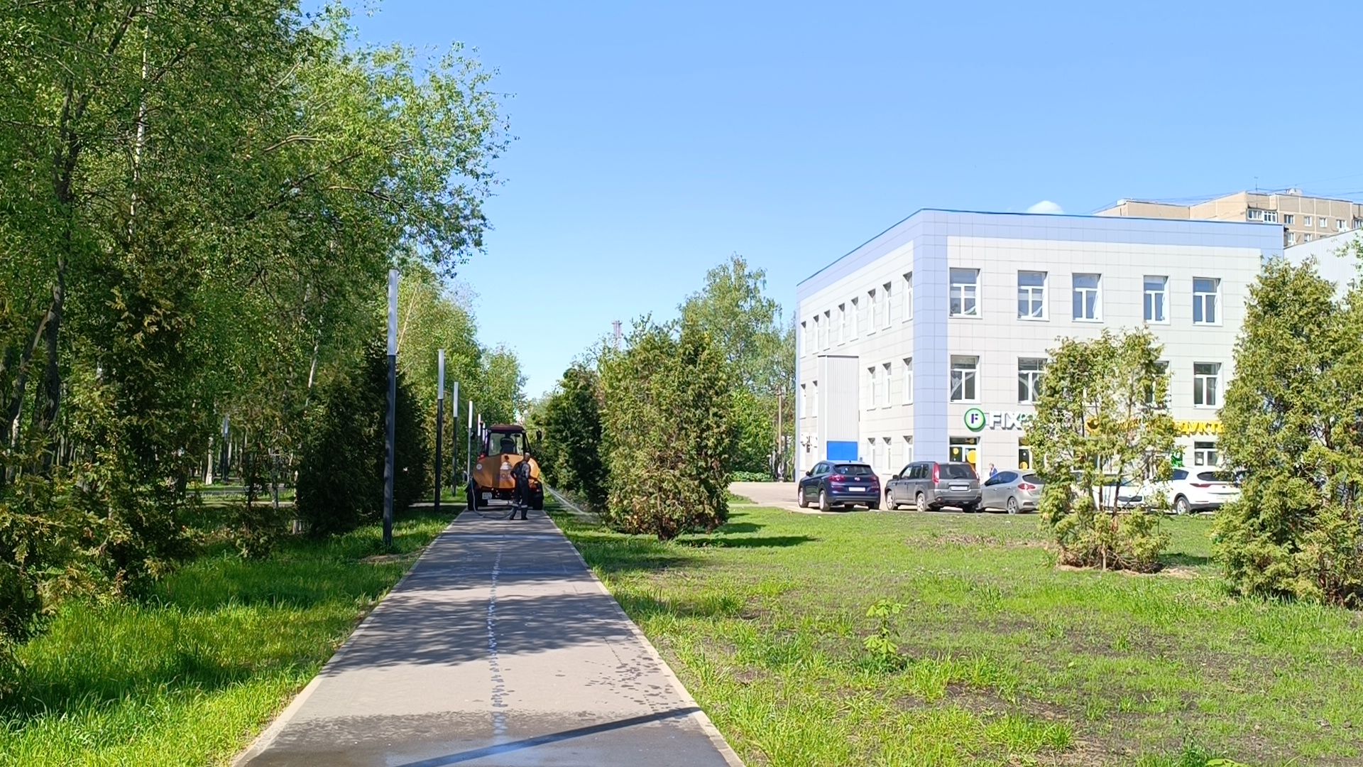 благоустройство, парк, деревья,